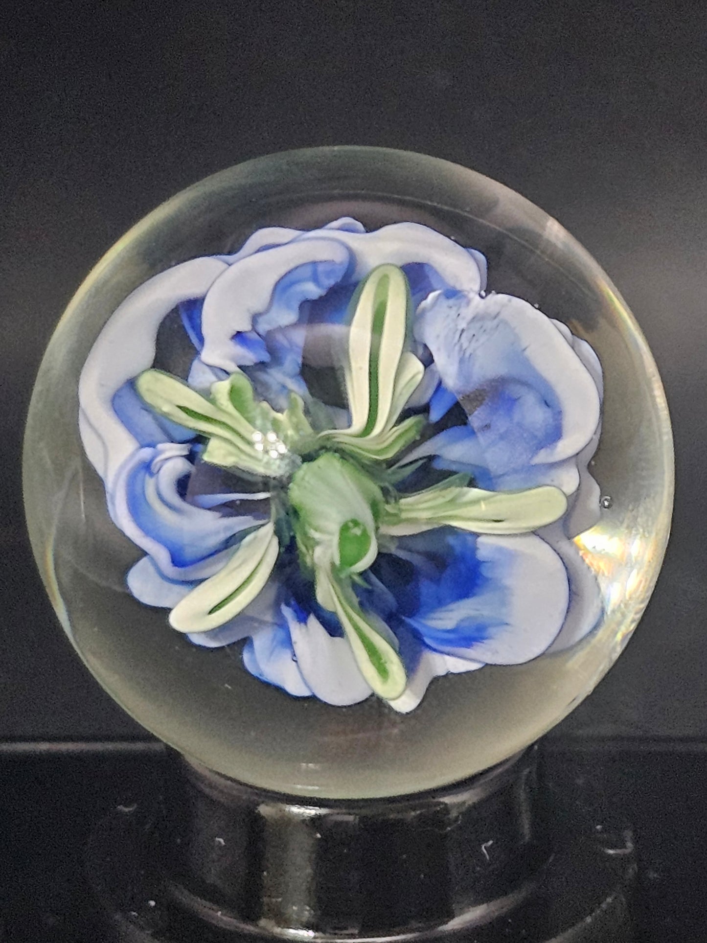 China White, Ion (Uranium) & Turbo Cobalt Floral Marble
