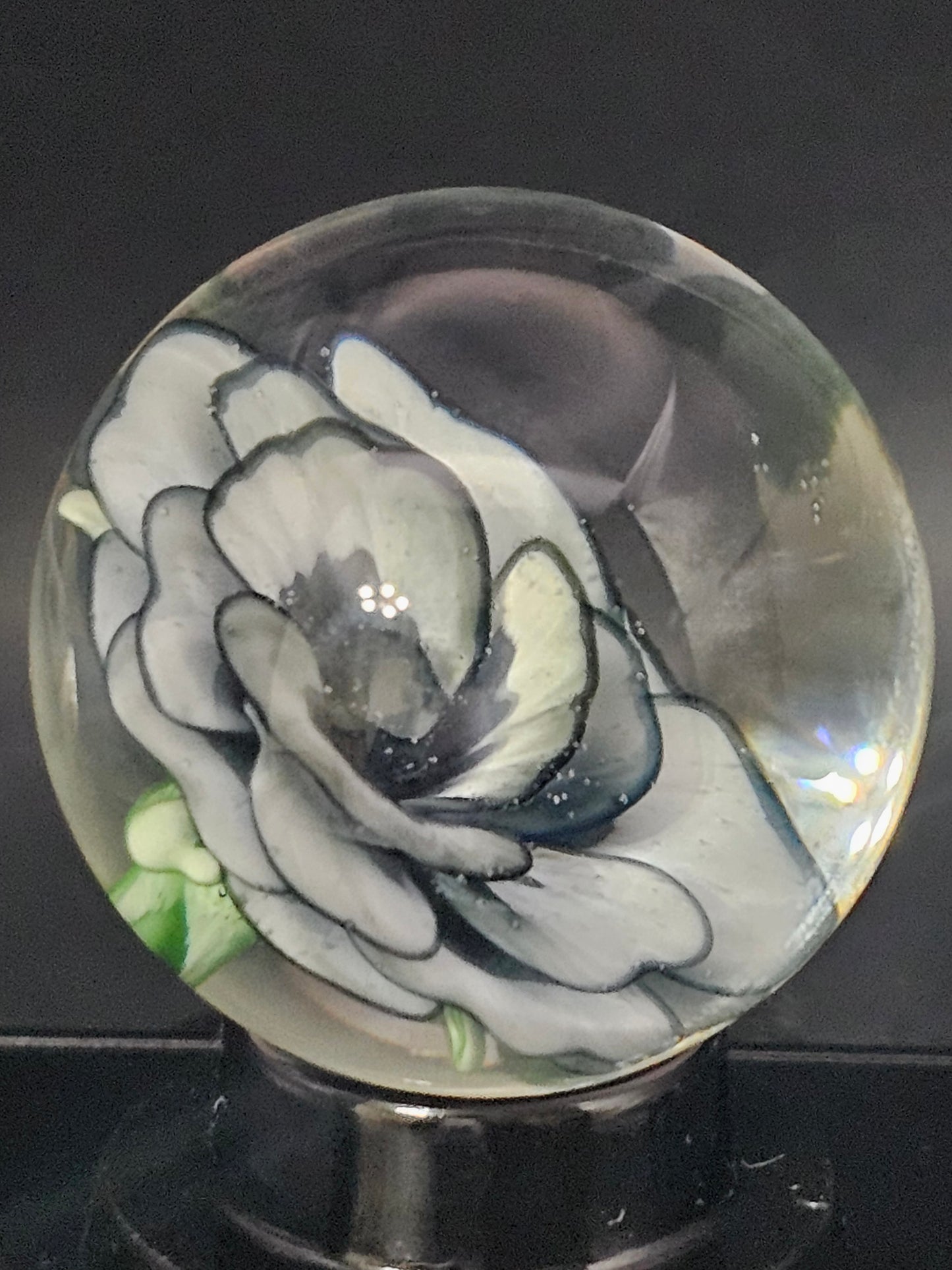 China White & Dark Knight Floral Marble