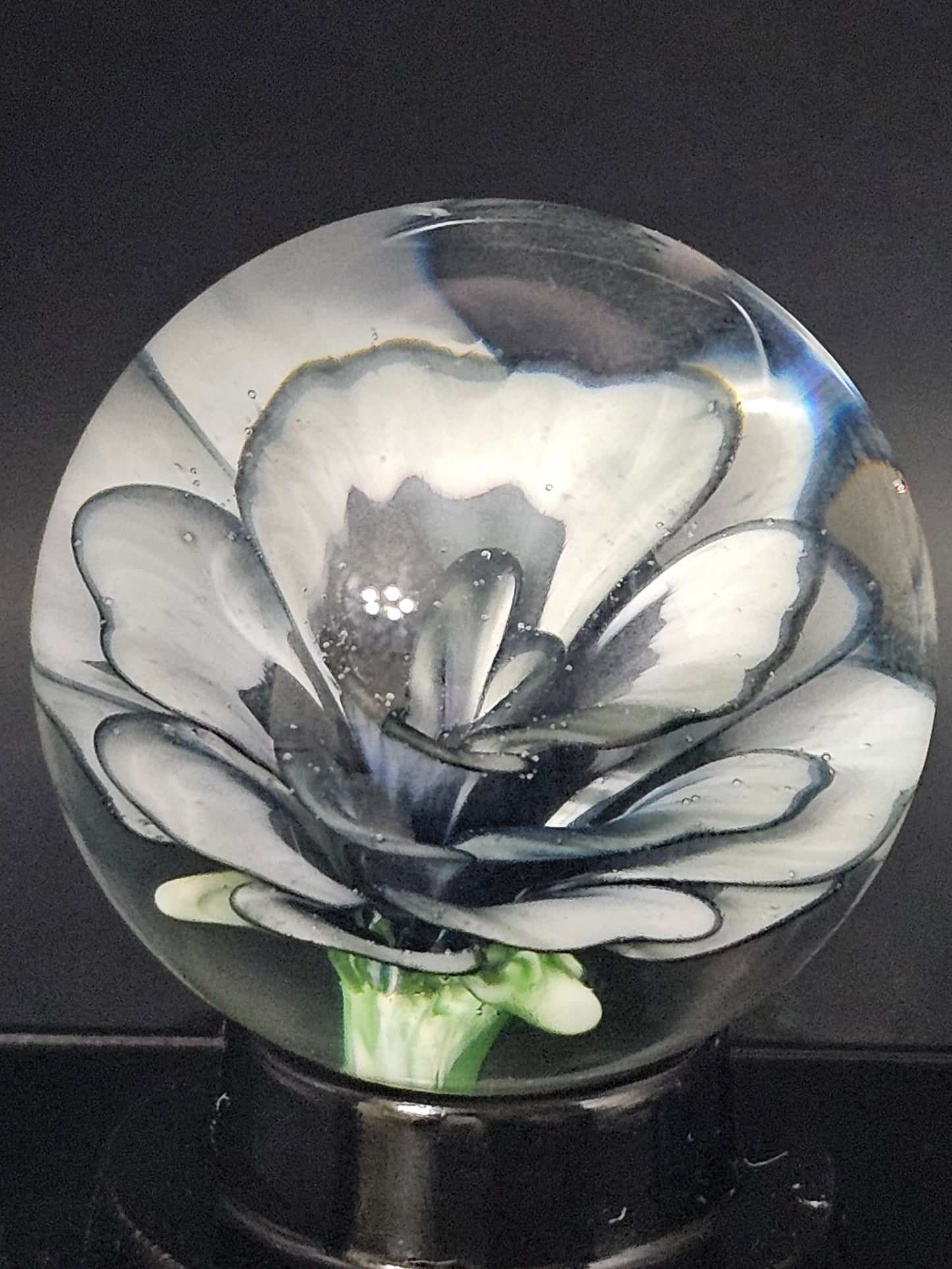 China White & Dark Knight Floral Marble