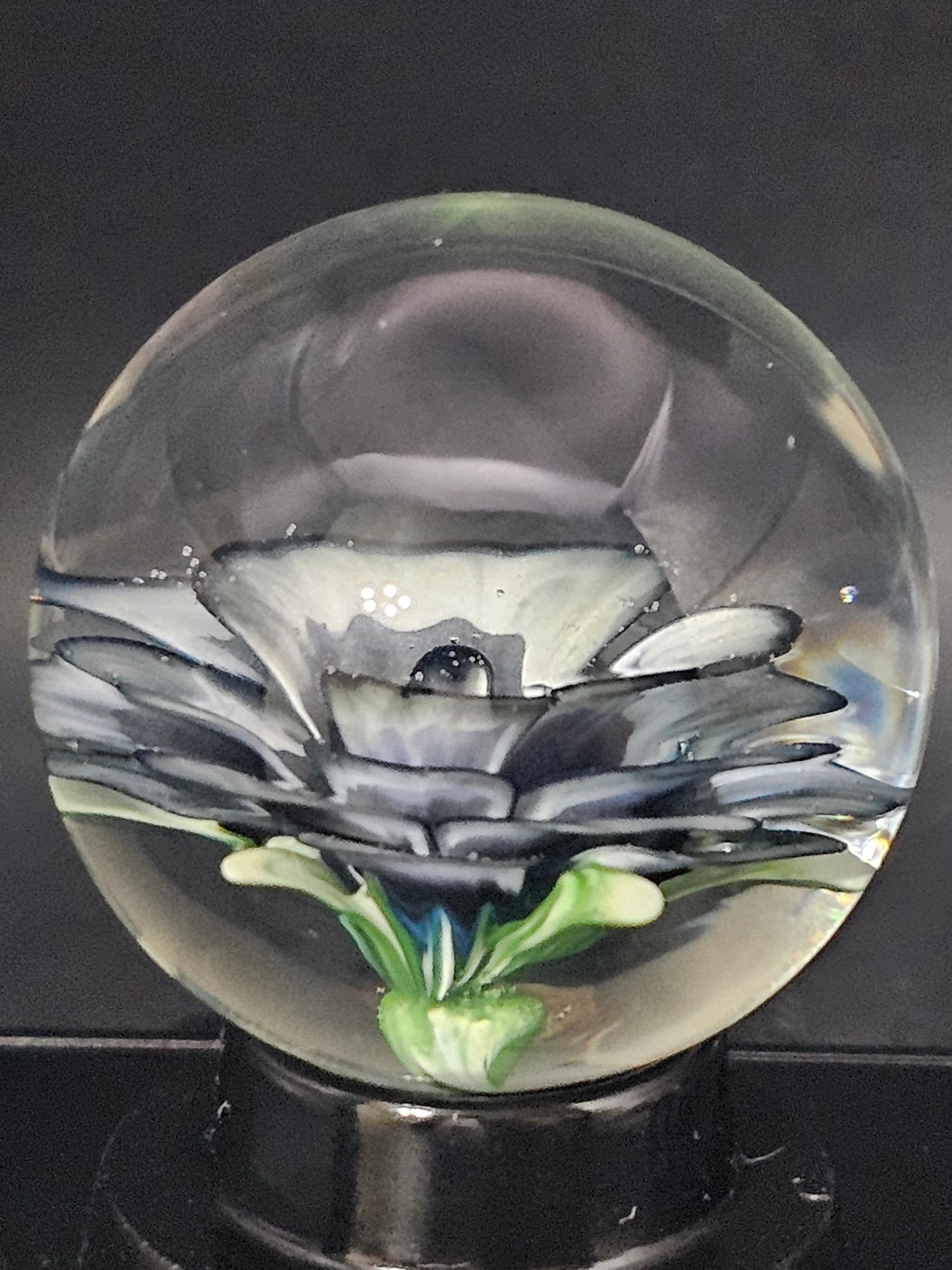 China White & Dark Knight Floral Marble