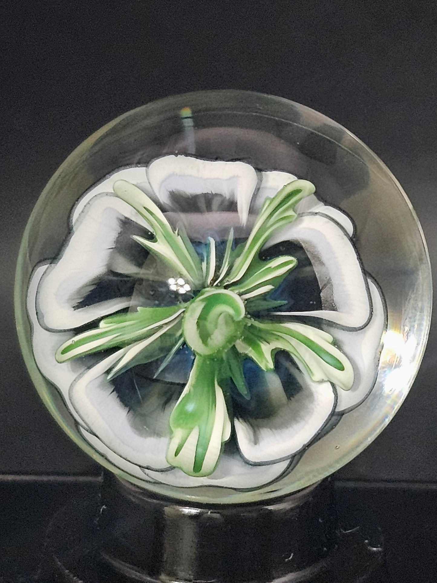 China White & Dark Knight Floral Marble