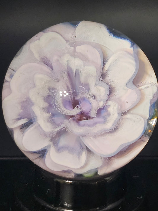 China White & Royal Jelly Floral Marble