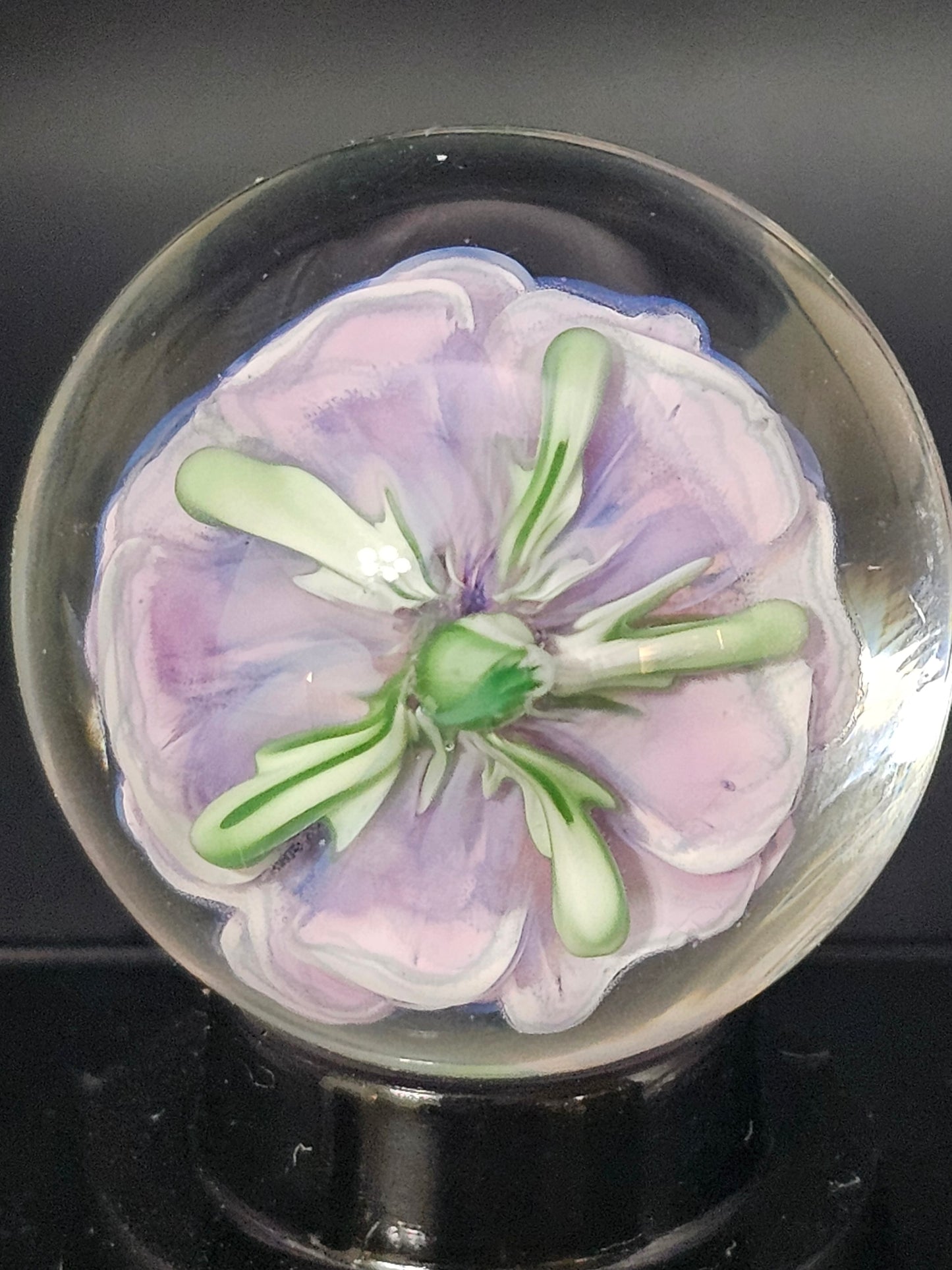 China White & Royal Jelly Floral Marble