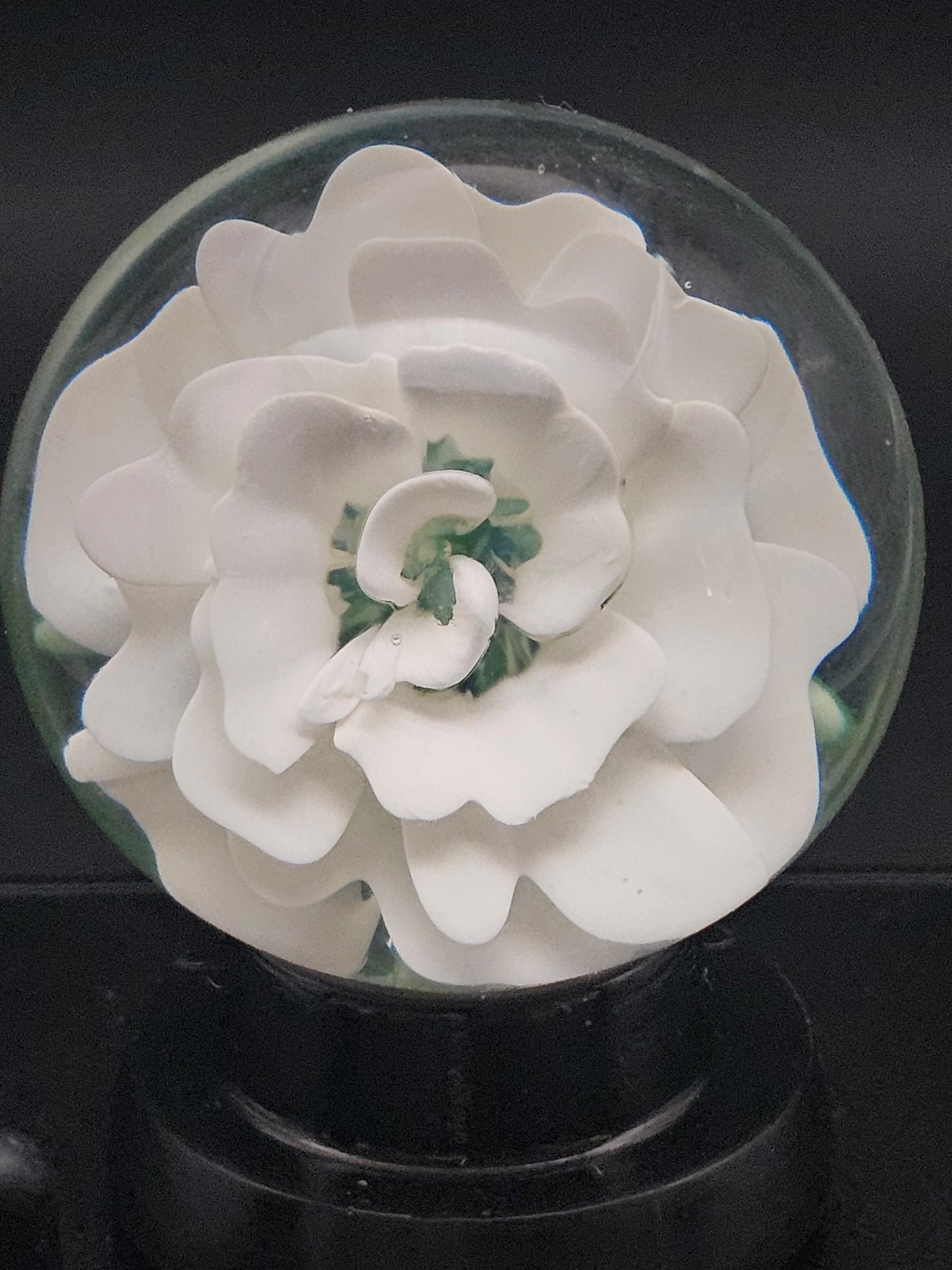 China White Floral Marble