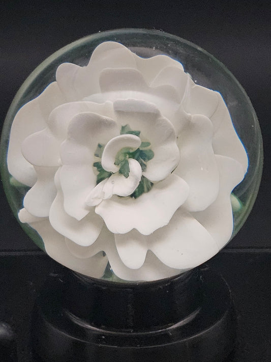 China White Floral Marble