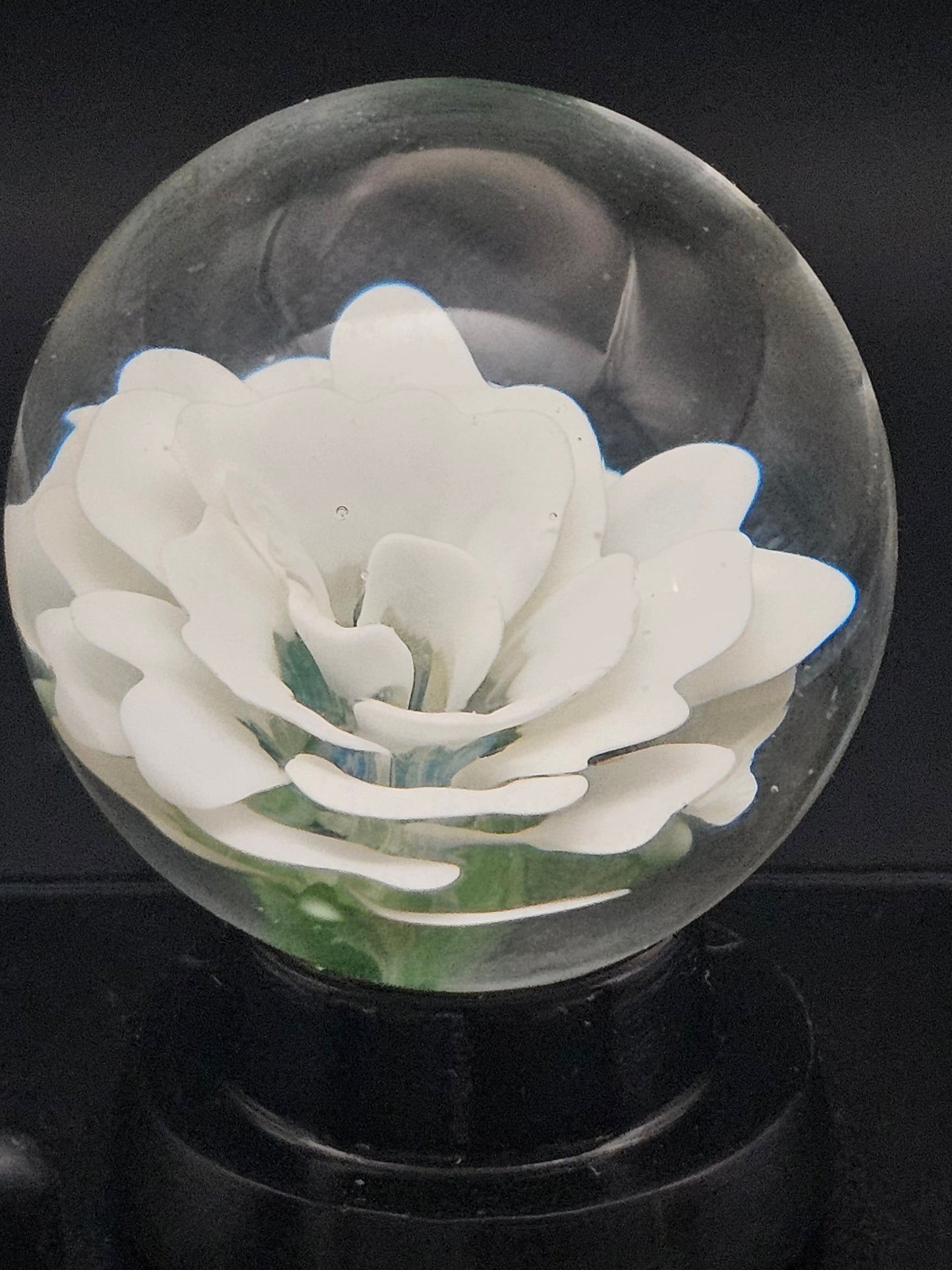 China White Floral Marble