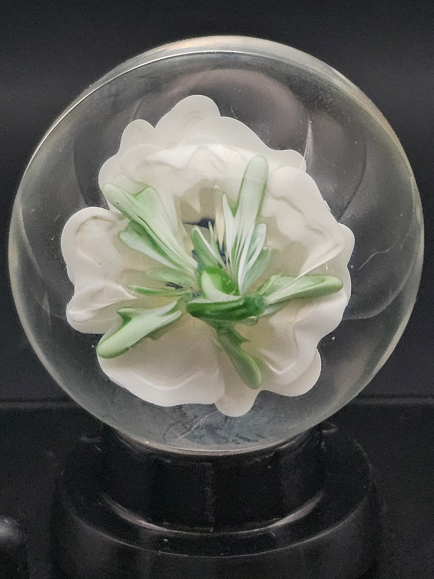 China White Floral Marble