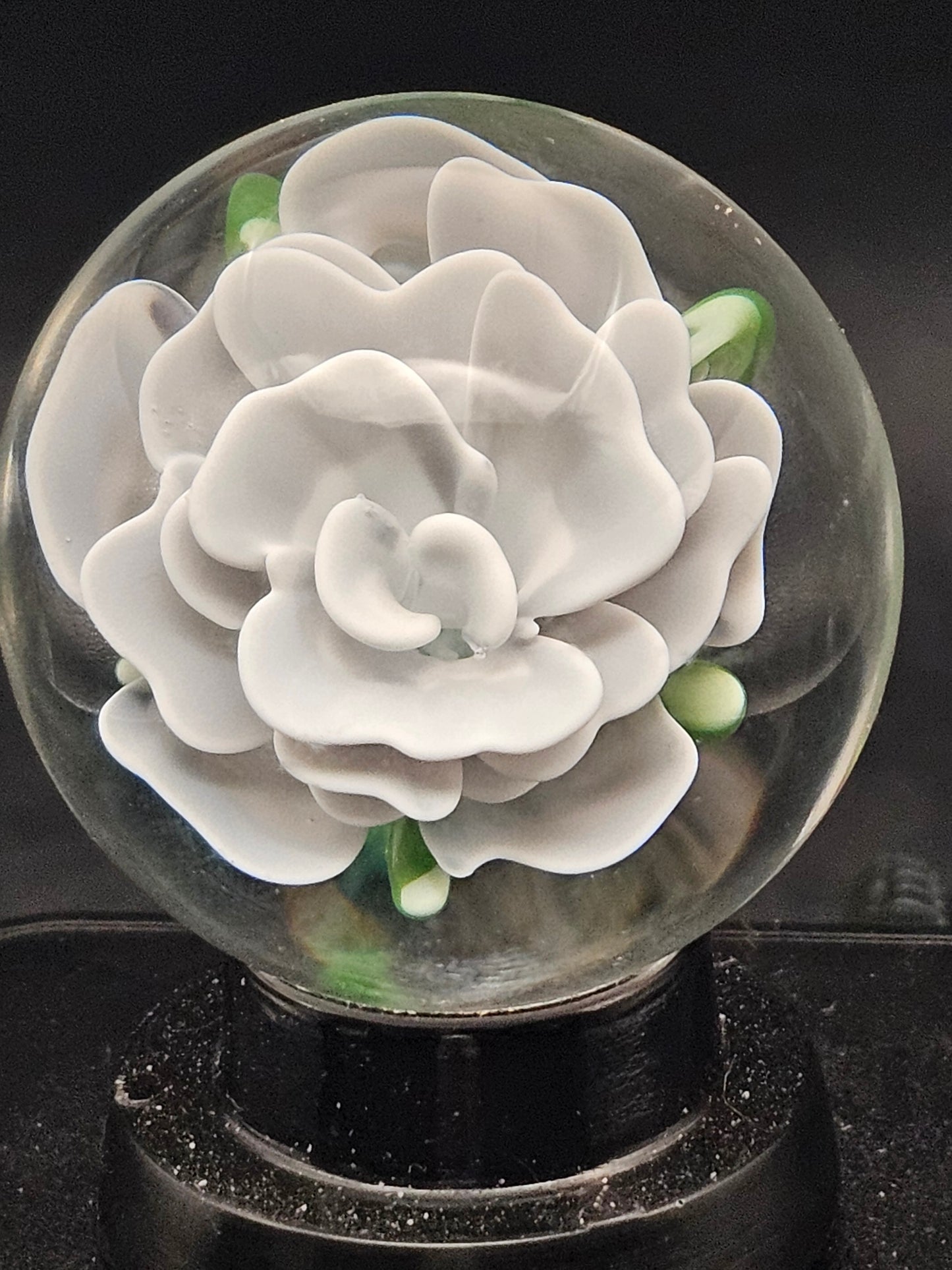 Lotus White & Dark Knight Floral Marble