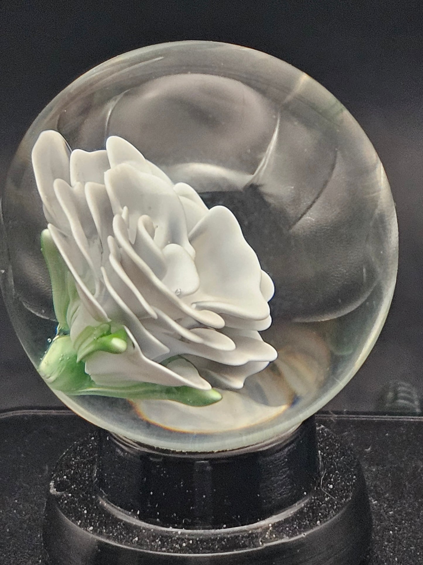 Lotus White & Dark Knight Floral Marble