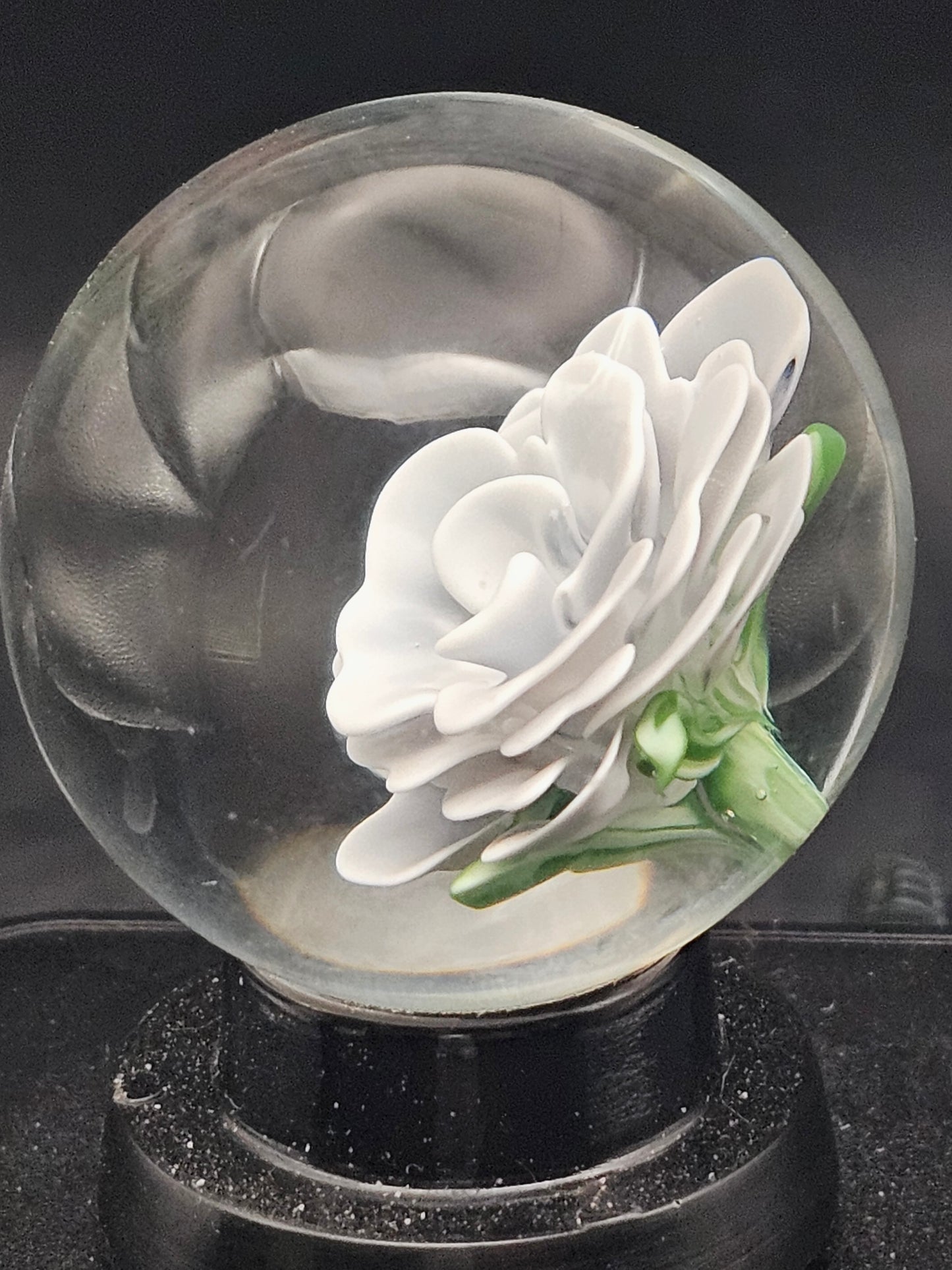 Lotus White & Dark Knight Floral Marble
