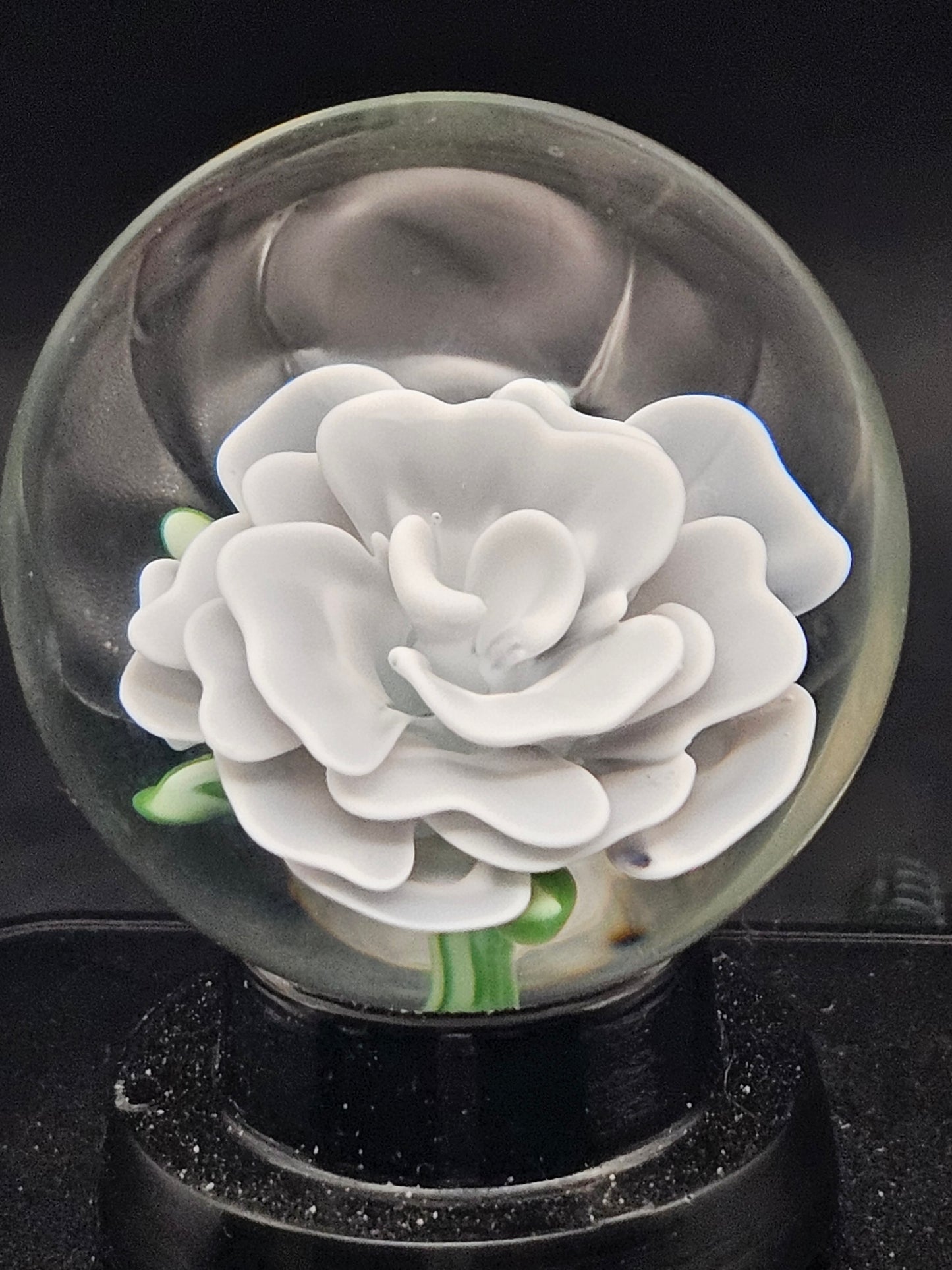 Lotus White & Dark Knight Floral Marble