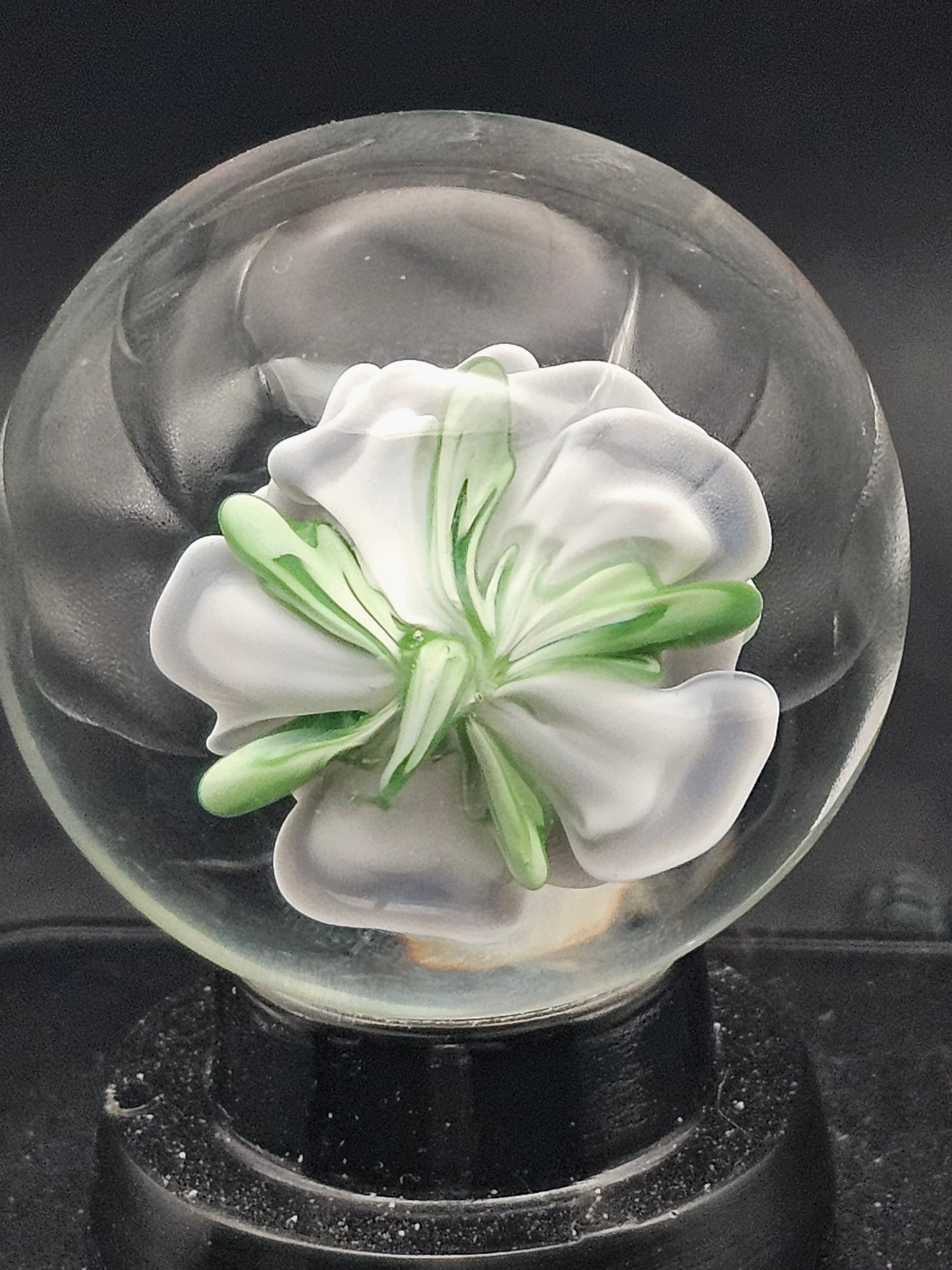 Lotus White & Dark Knight Floral Marble