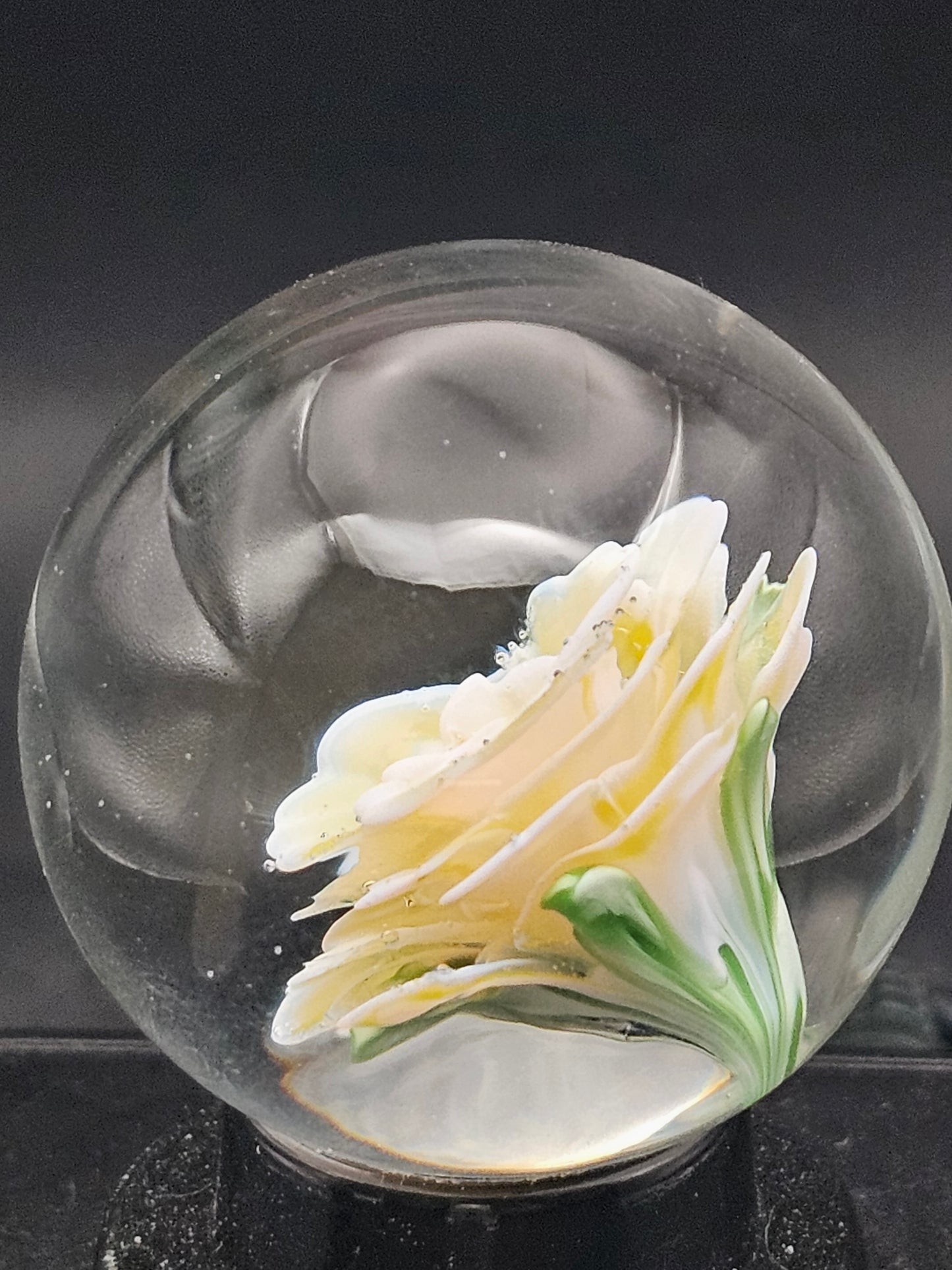 Canary Yellow & Lotus White Floral Marble