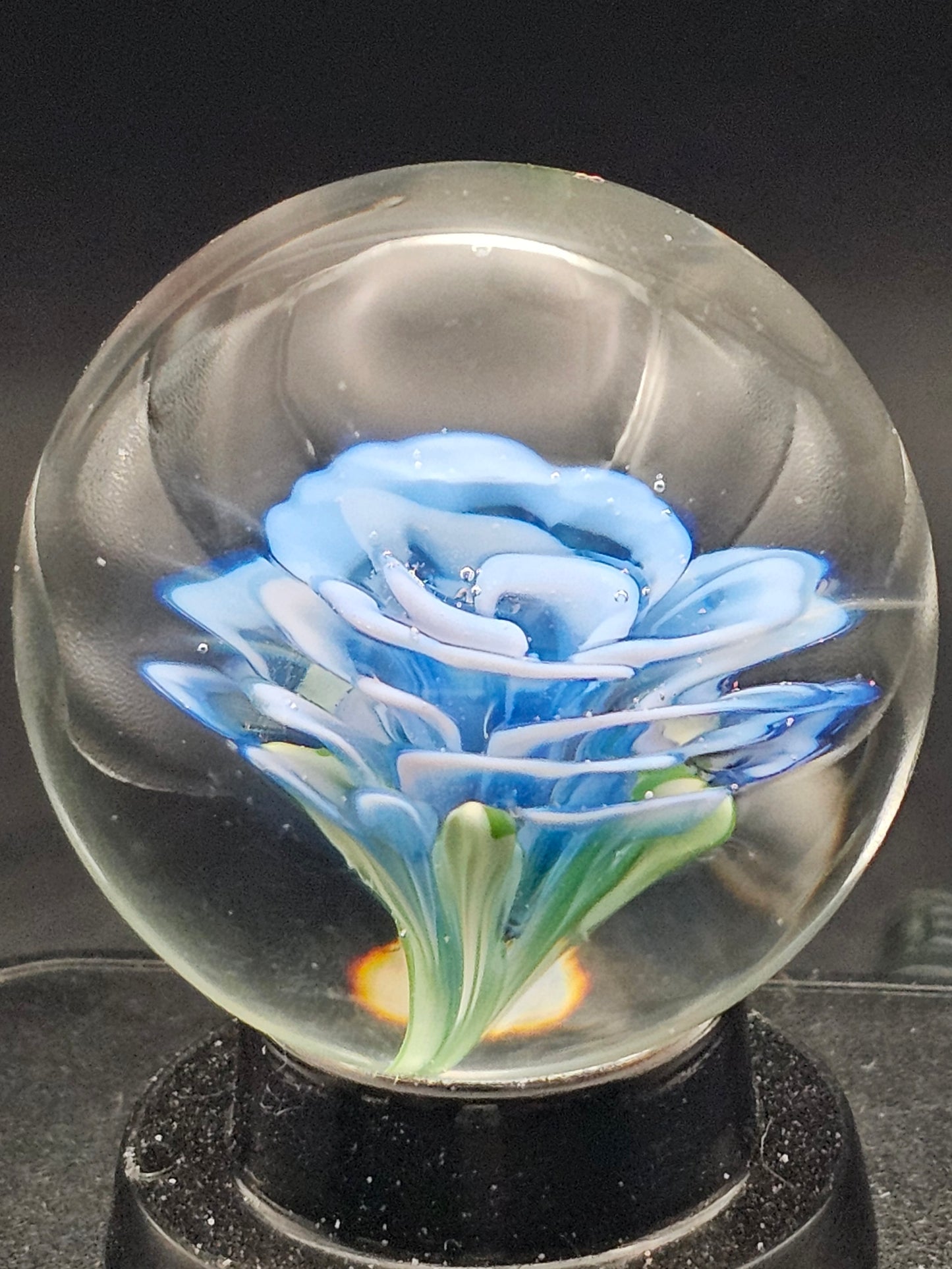 Lotus White & Cobalt Floral Marble