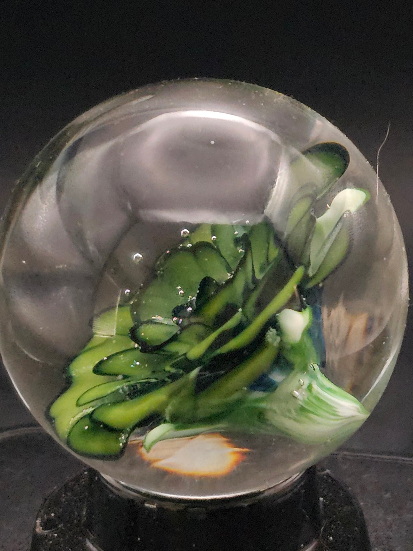 Roswell Yellow & Turbo Cobalt Floral Marble
