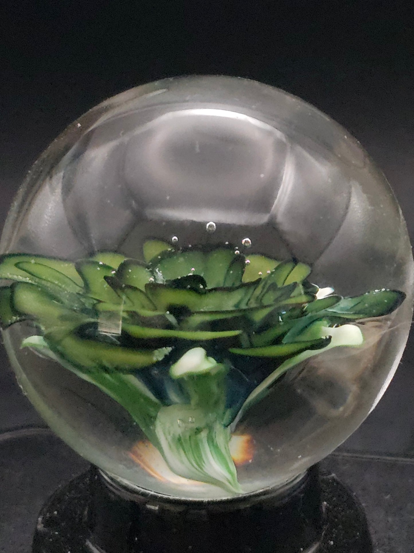 Roswell Yellow & Turbo Cobalt Floral Marble