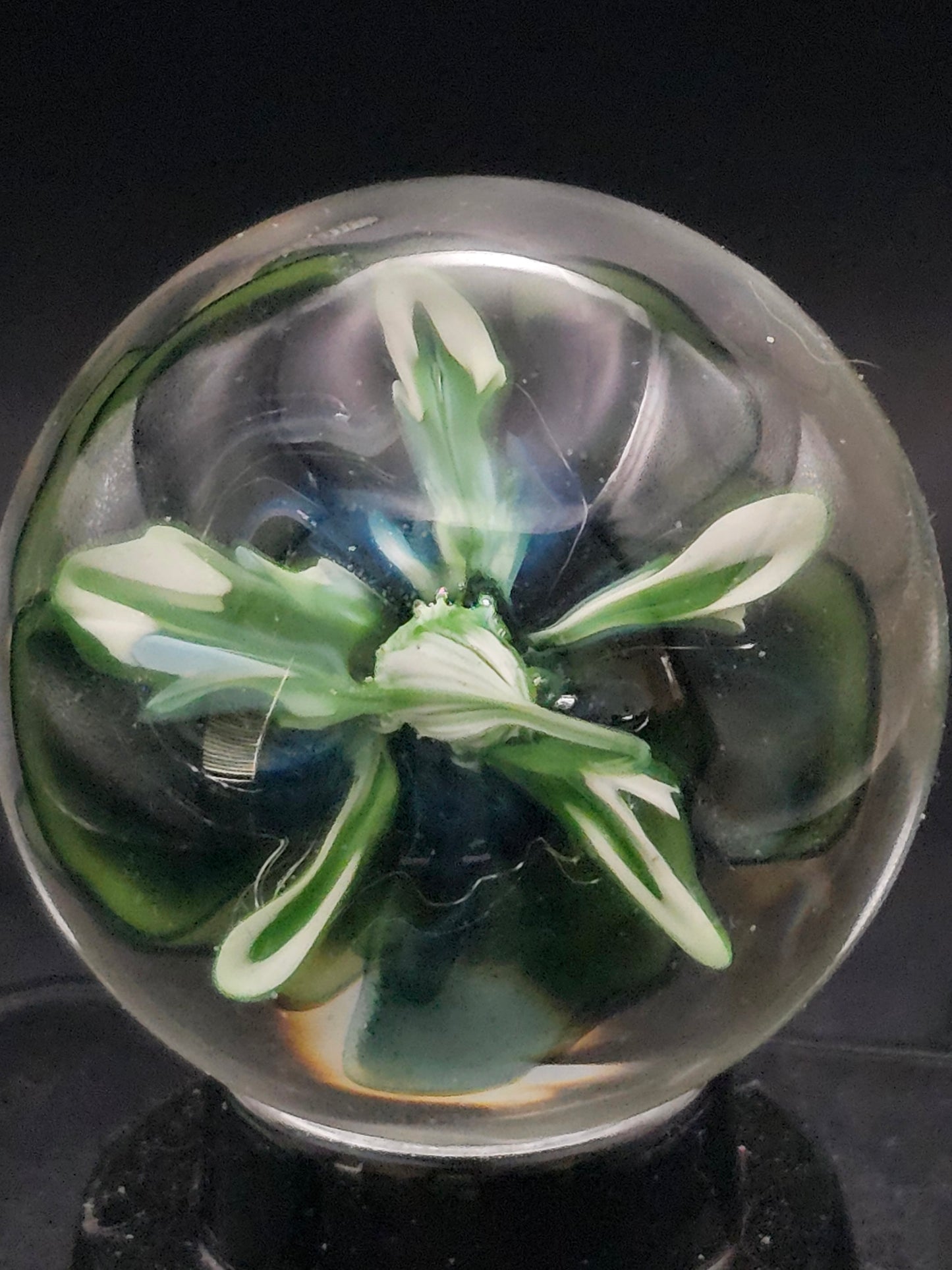 Roswell Yellow & Turbo Cobalt Floral Marble