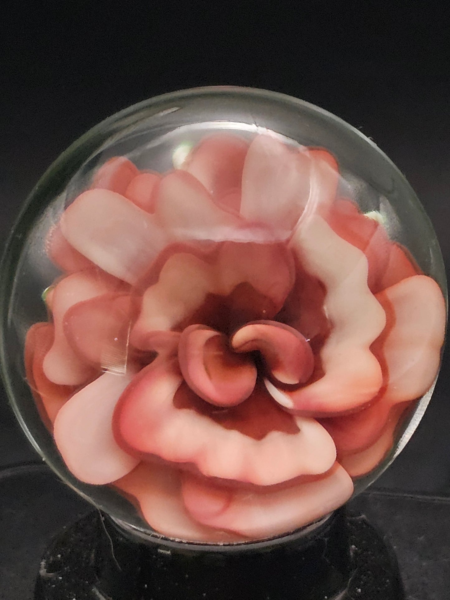 China White & Garnet Floral Marble