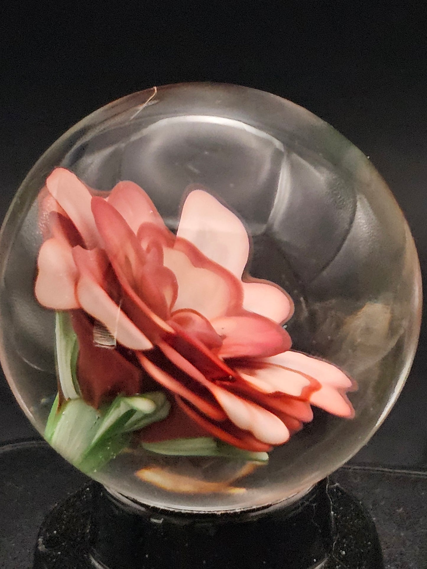 China White & Garnet Floral Marble