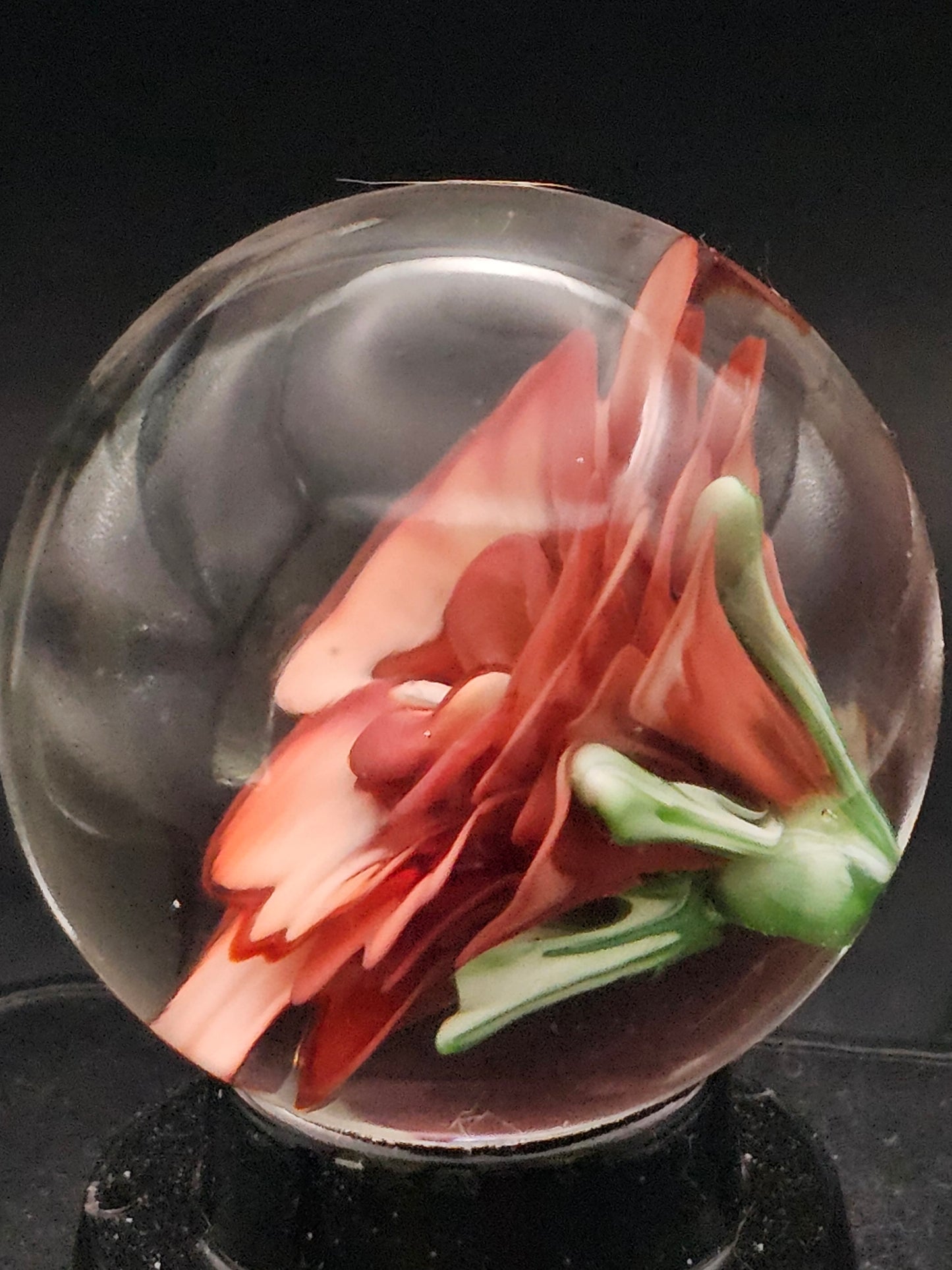 China White & Garnet Floral Marble