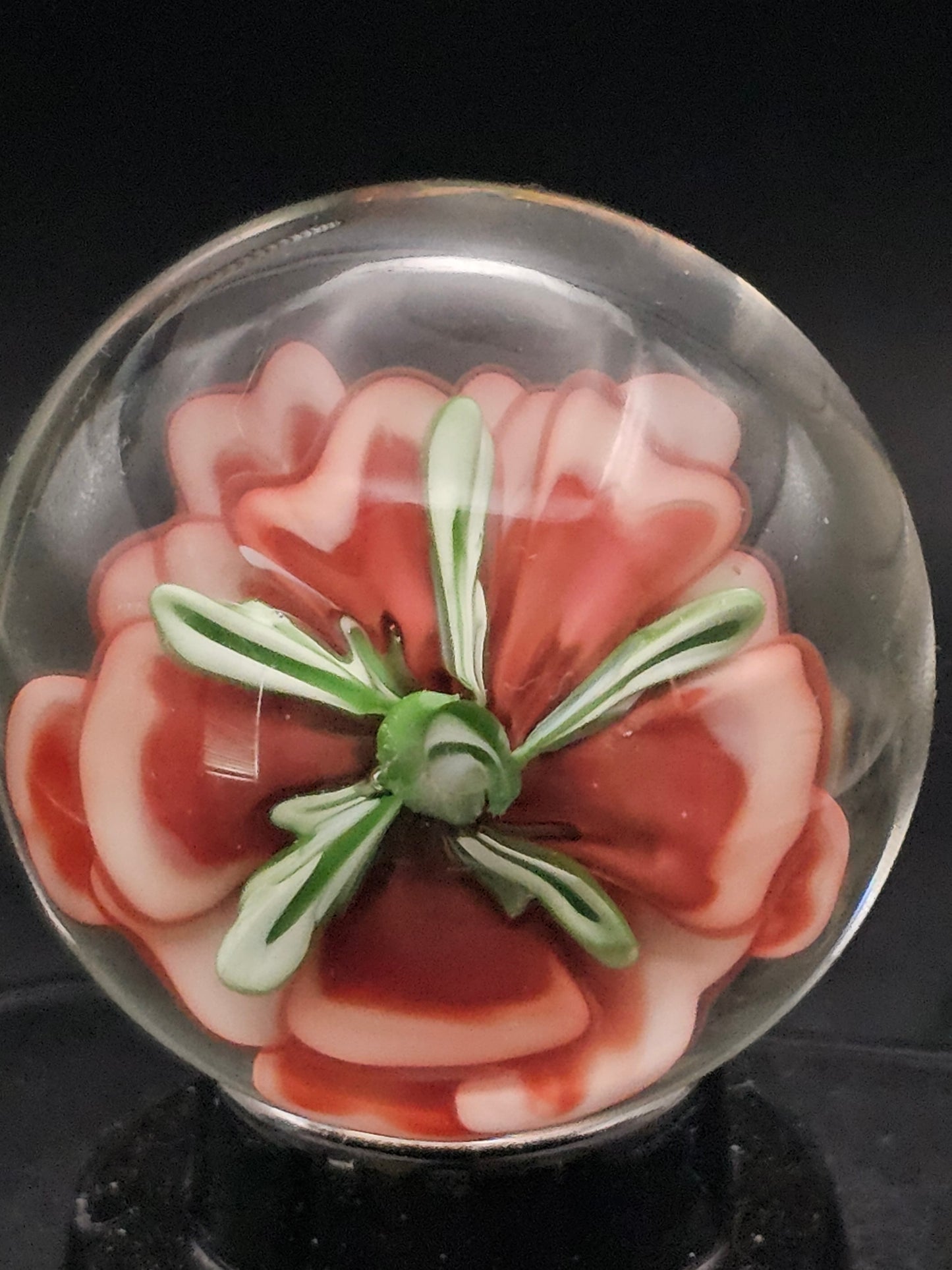 China White & Garnet Floral Marble