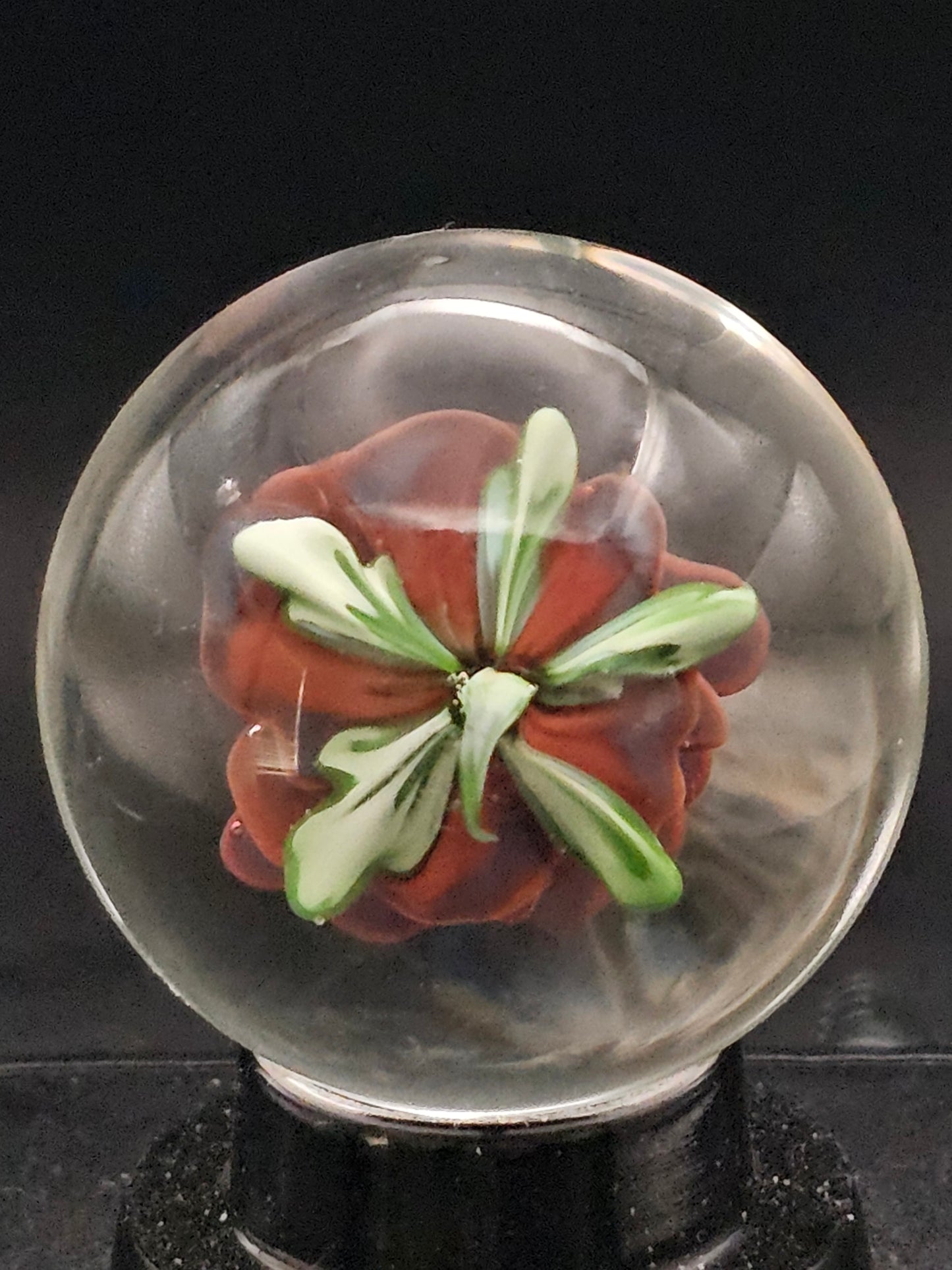 Custom for Tiff