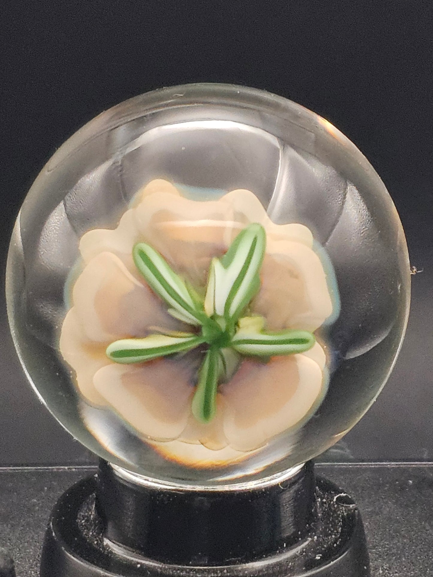 China White & Sascha's Oil Slick Floral Marble