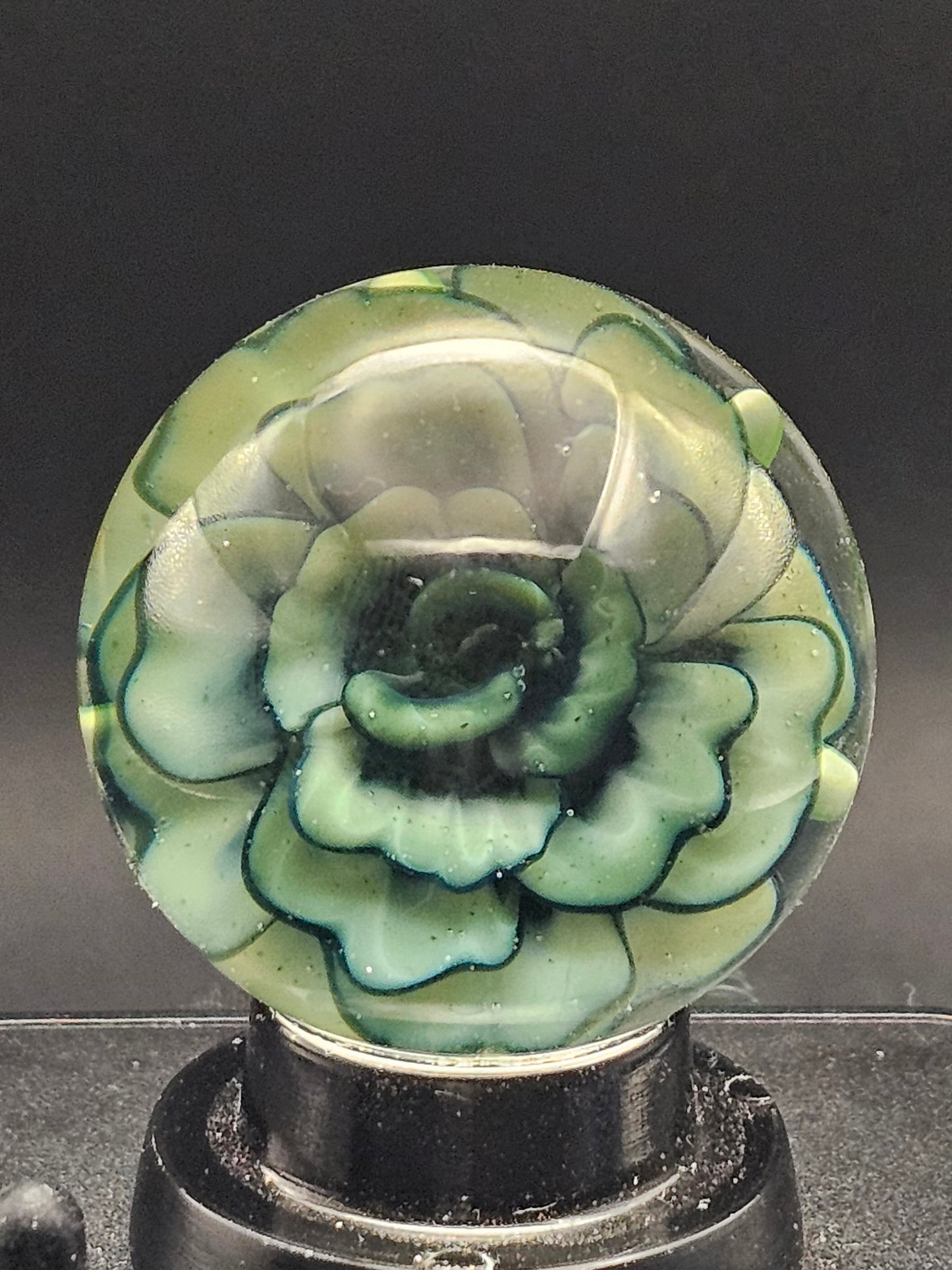 Slyme & Galaxy Black Floral Marble