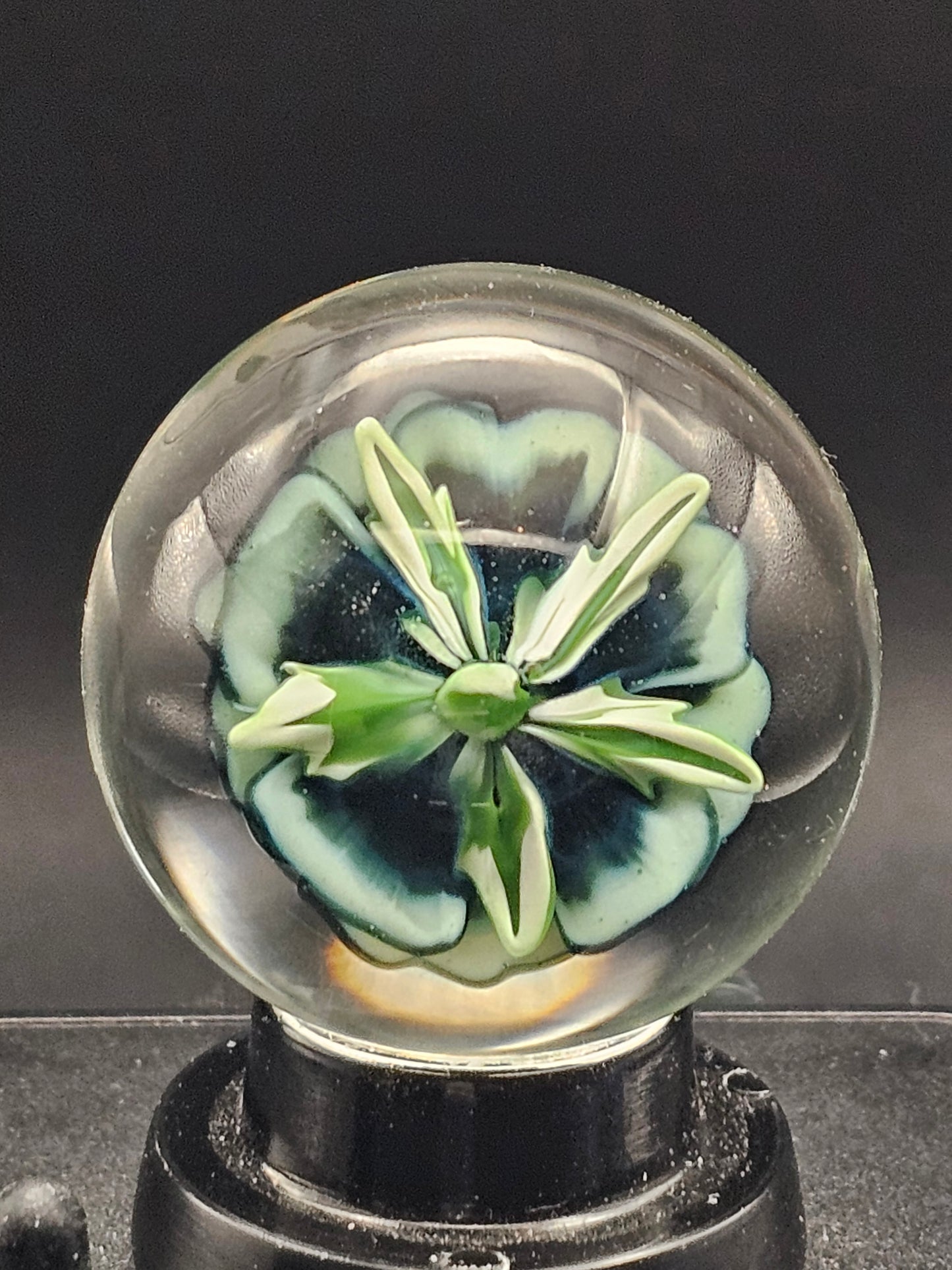 Slyme & Galaxy Black Floral Marble