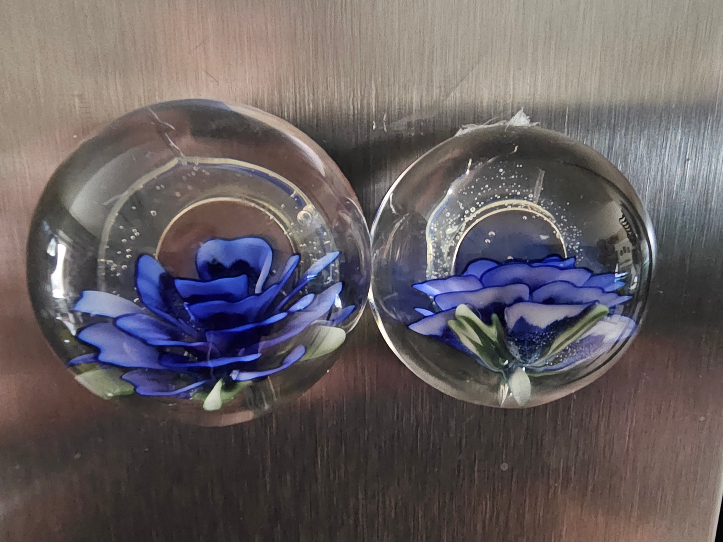 Magnet set for Jess Dark Cobalt & China White