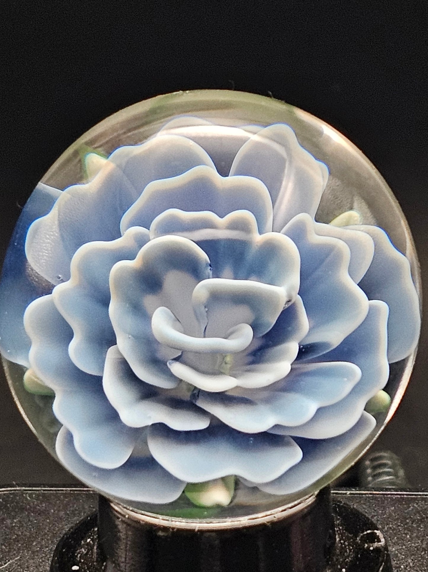 Dark Cobalt & Ghost White Floral Marble