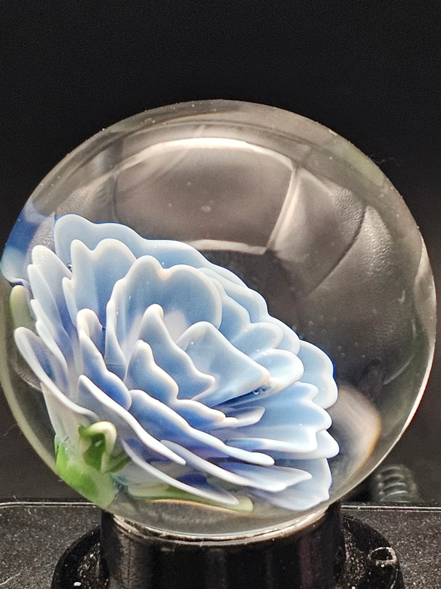 Dark Cobalt & Ghost White Floral Marble