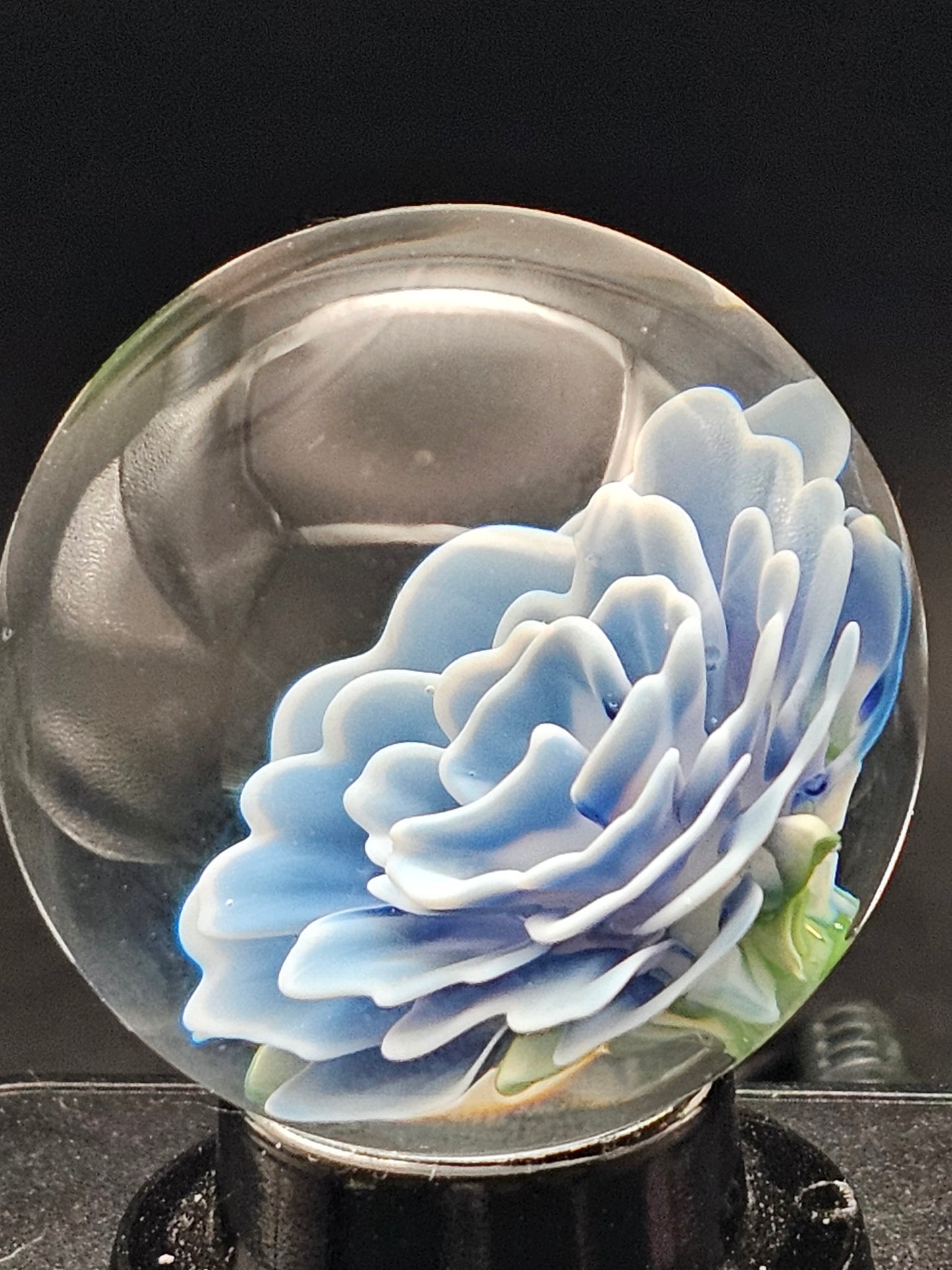 Dark Cobalt & Ghost White Floral Marble