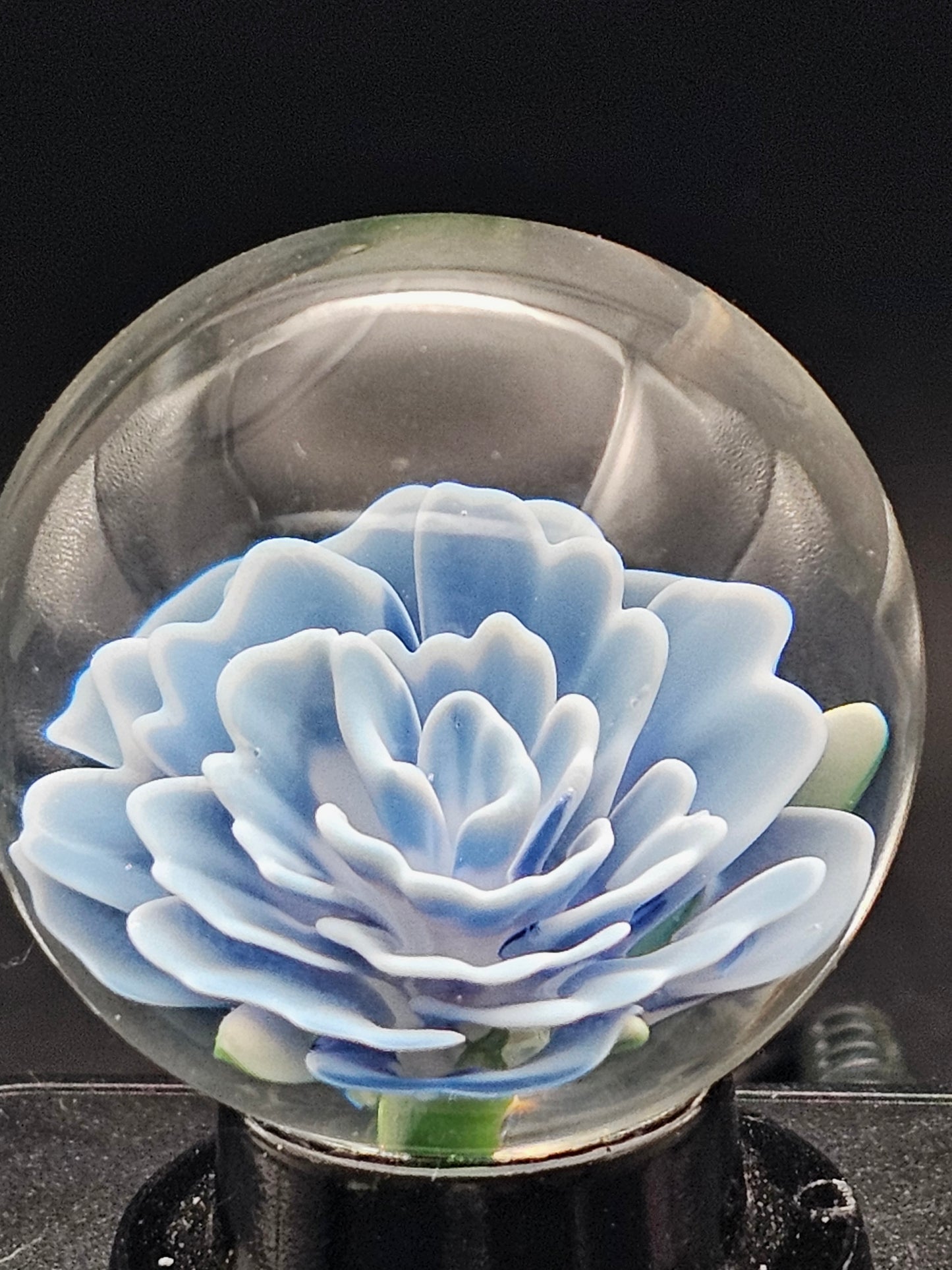 Dark Cobalt & Ghost White Floral Marble