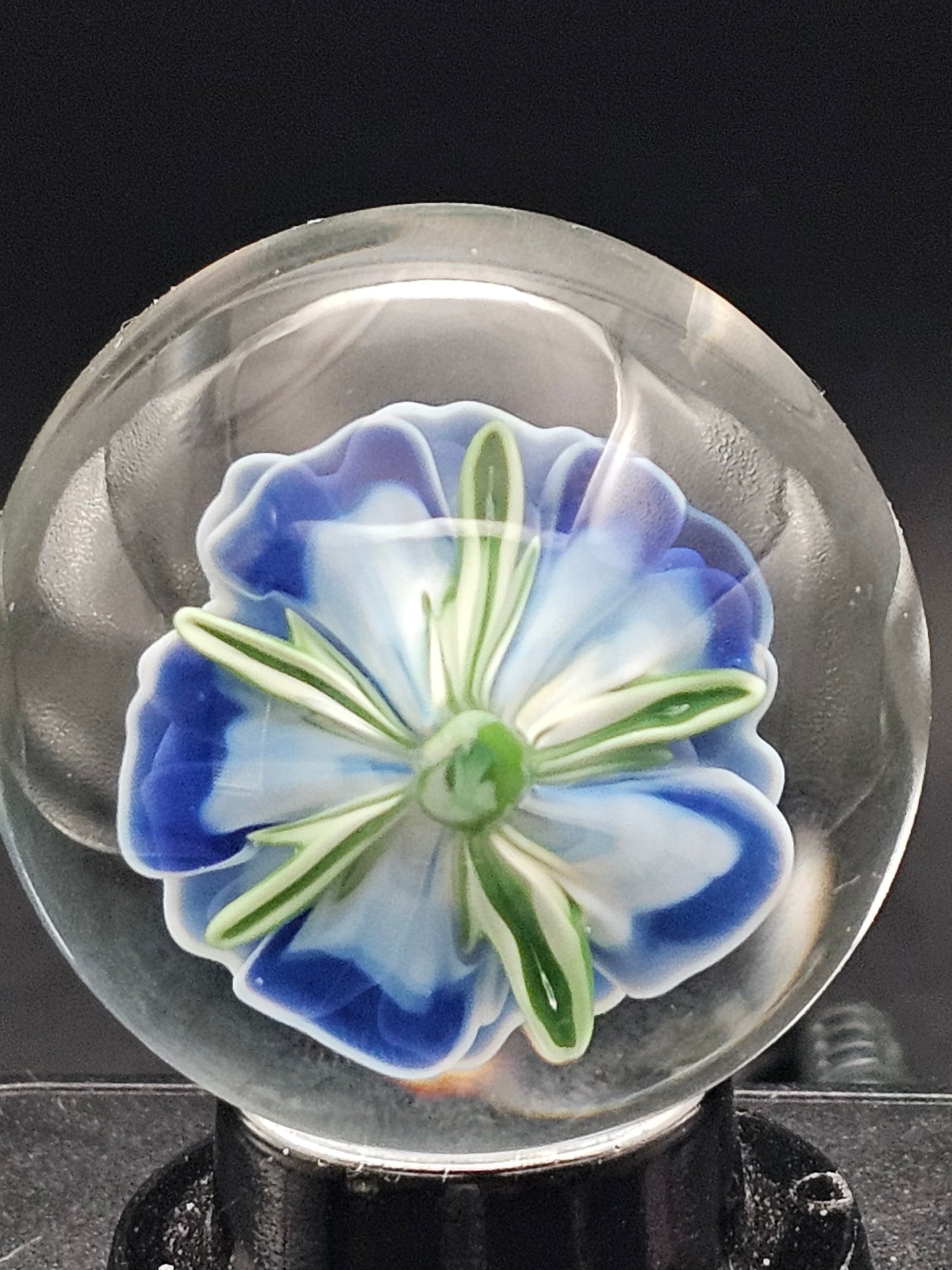 Dark Cobalt & Ghost White Floral Marble