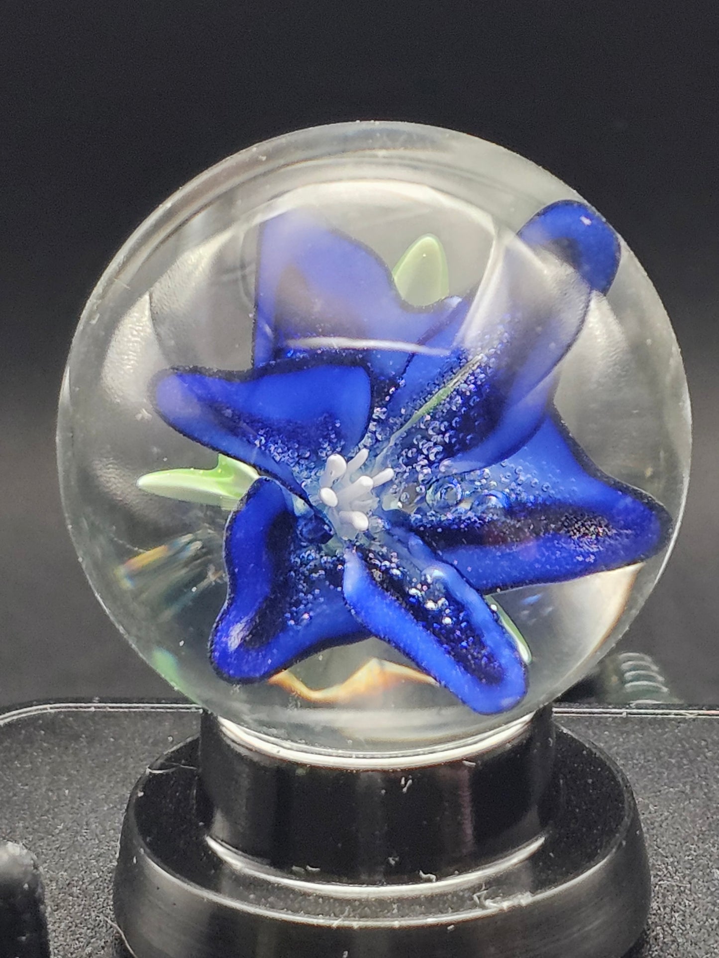 Turbo Cobalt Lily Floral Marble