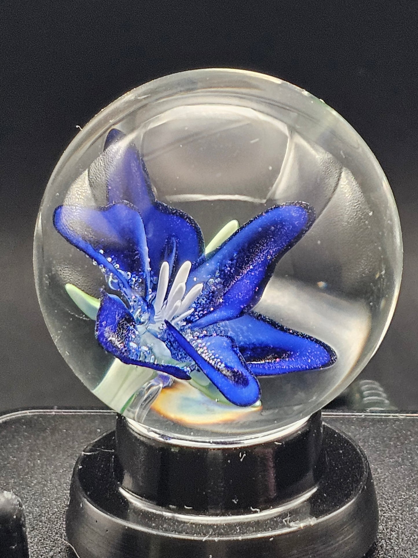 Turbo Cobalt Lily Floral Marble