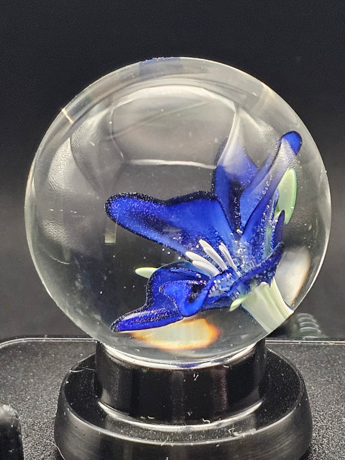 Turbo Cobalt Lily Floral Marble