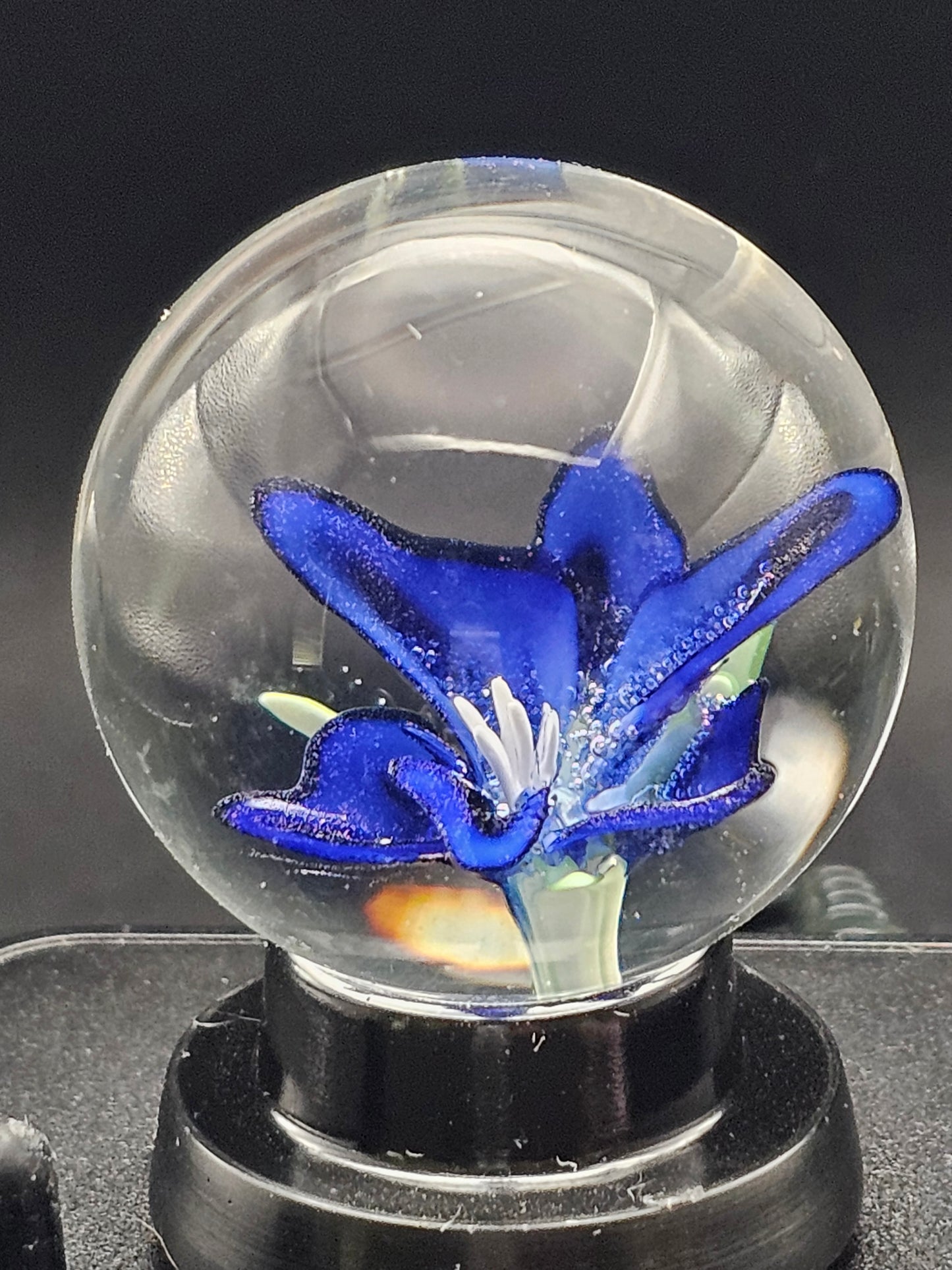 Turbo Cobalt Lily Floral Marble