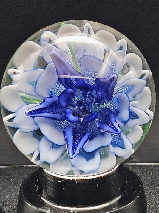 Blue Cobalt Fade Floral Marble