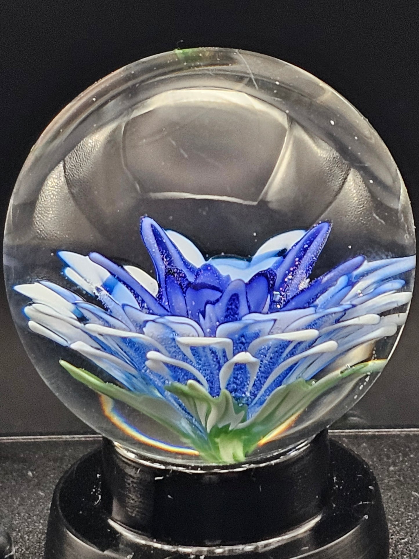 Blue Cobalt Fade Floral Marble