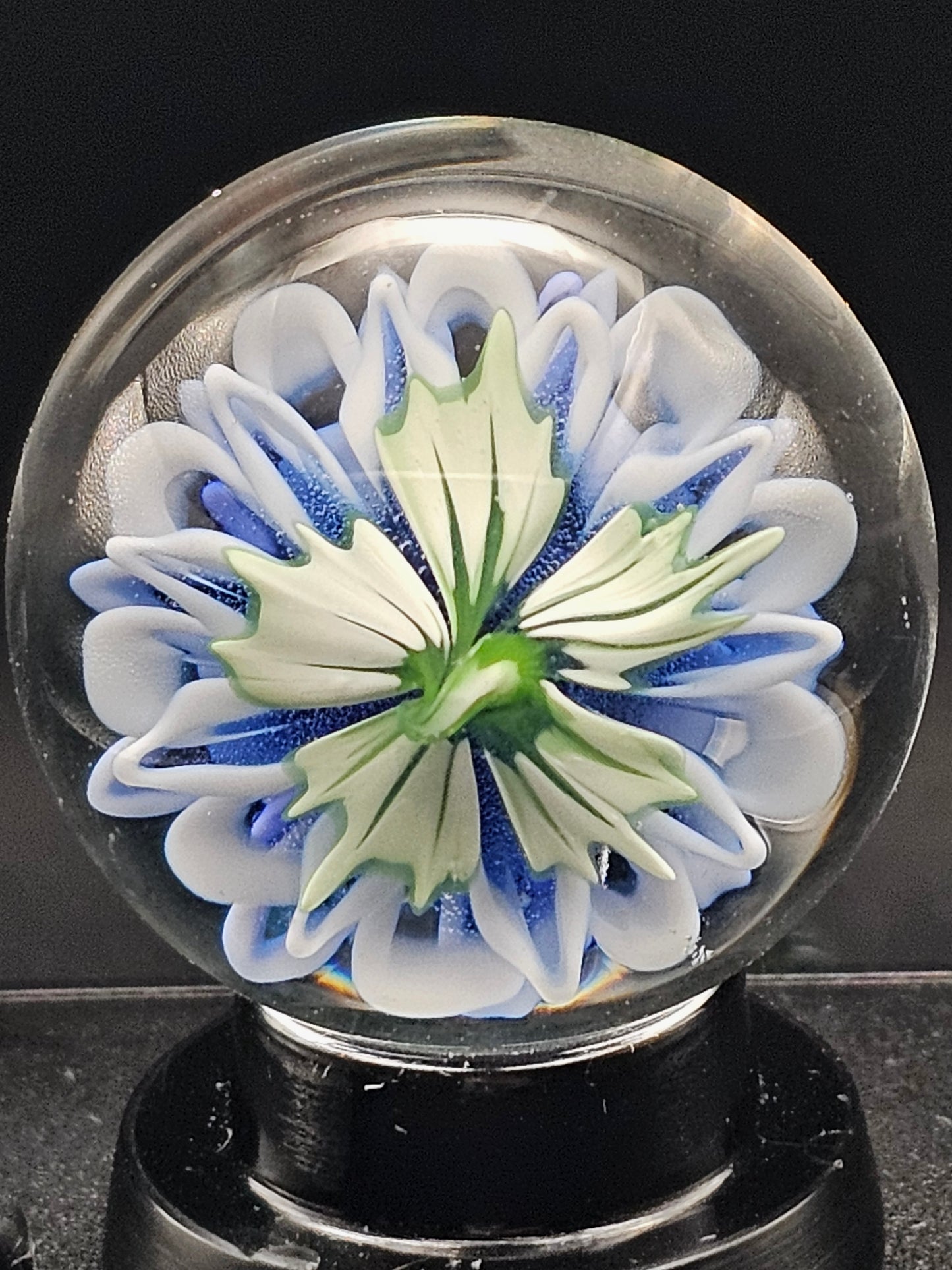 Blue Cobalt Fade Floral Marble