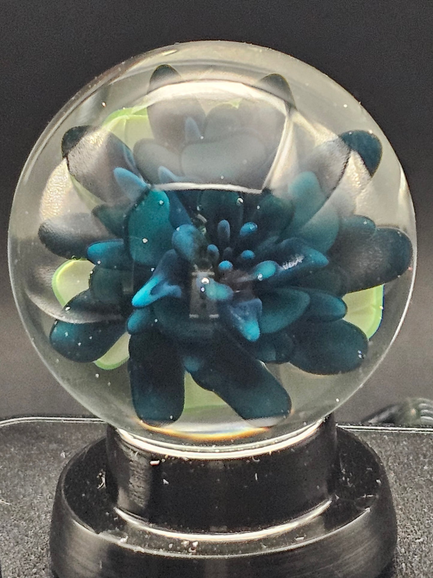 Peacock, Twilight, & Galaxy Black Floral Marble