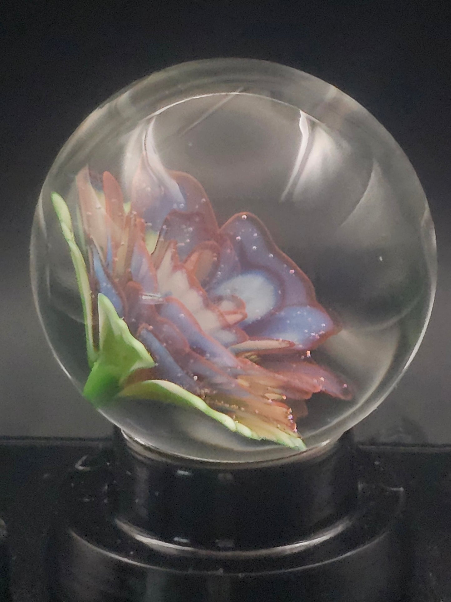 Meta-Terrania & Sunset Floral Marble