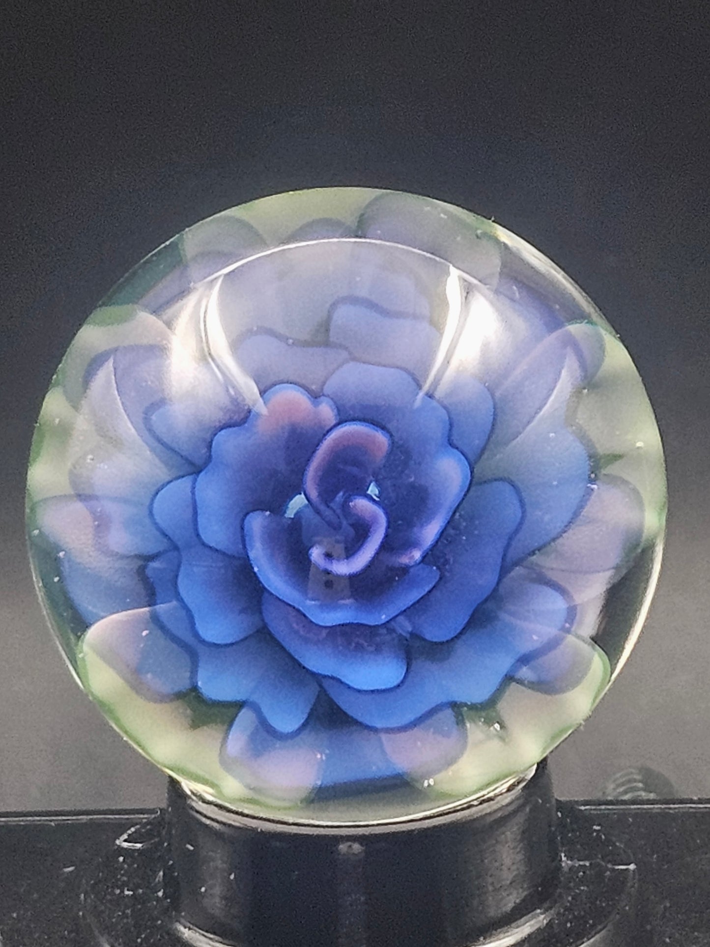 Glopal & Turbo Cobalt Floral Marble (Pink Glow in Blacklight)