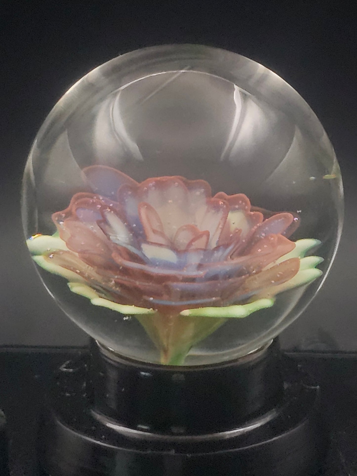 Meta-Terrania & Sunset Floral Marble