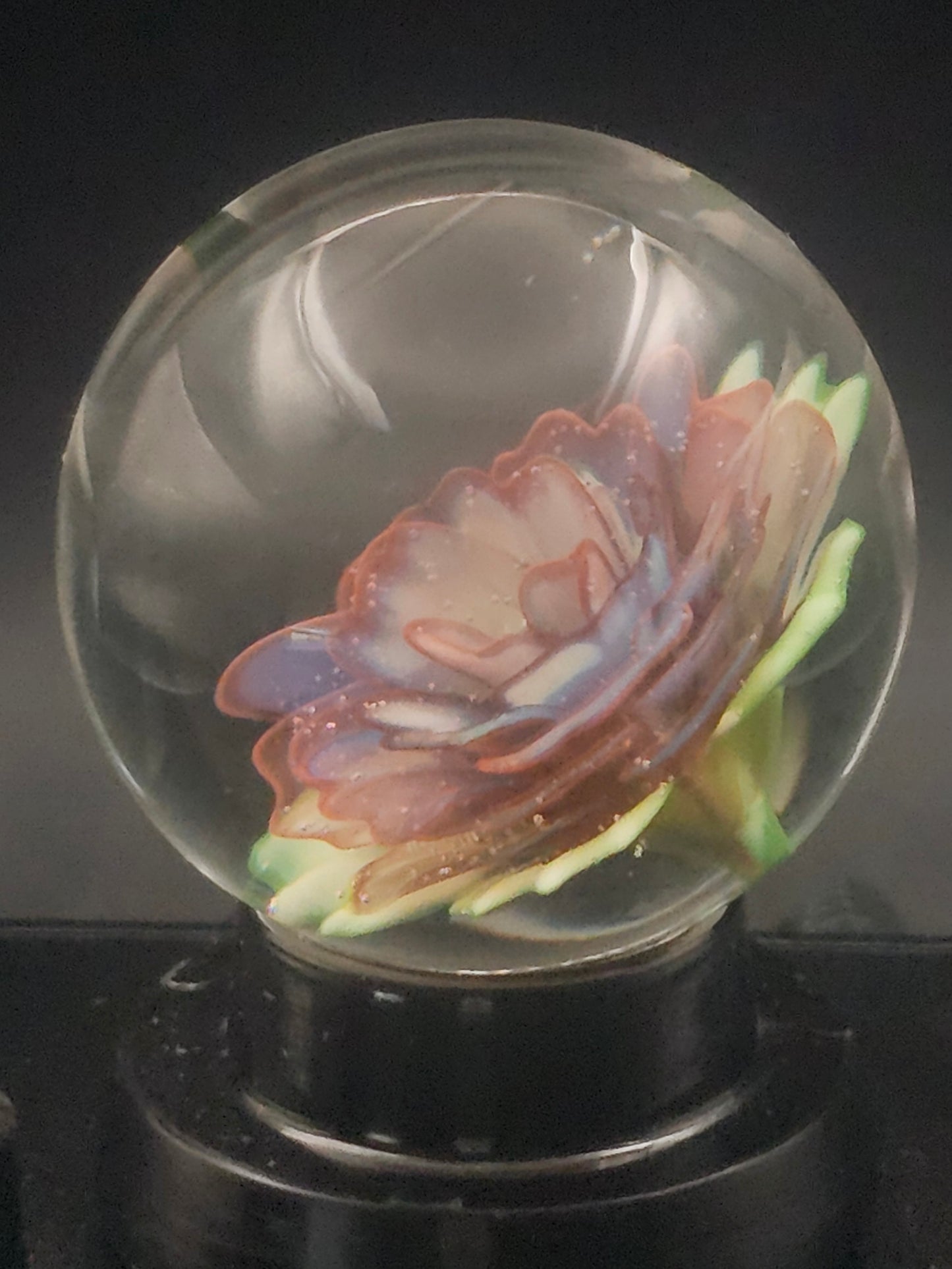 Meta-Terrania & Sunset Floral Marble