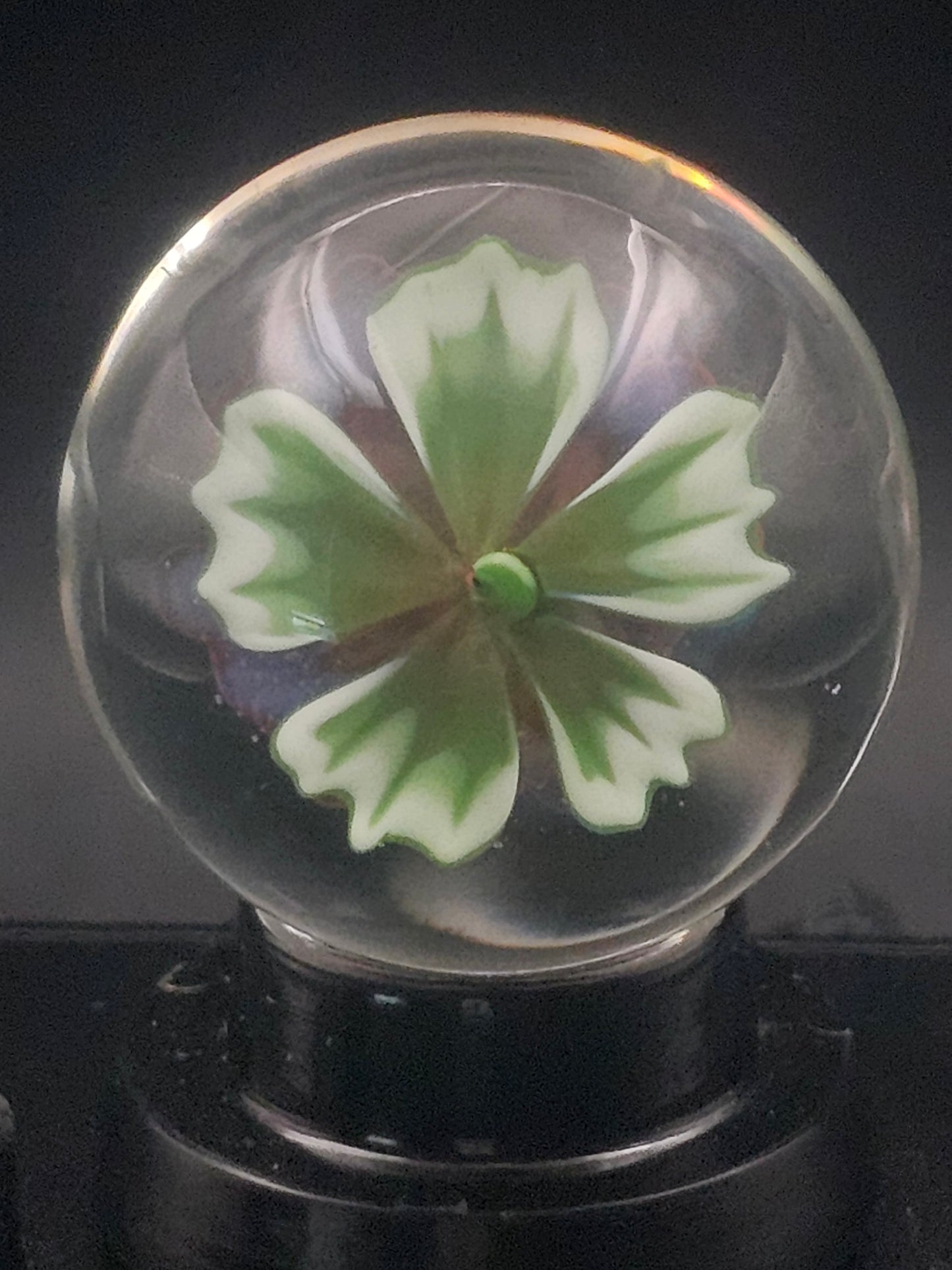 Meta-Terrania & Sunset Floral Marble