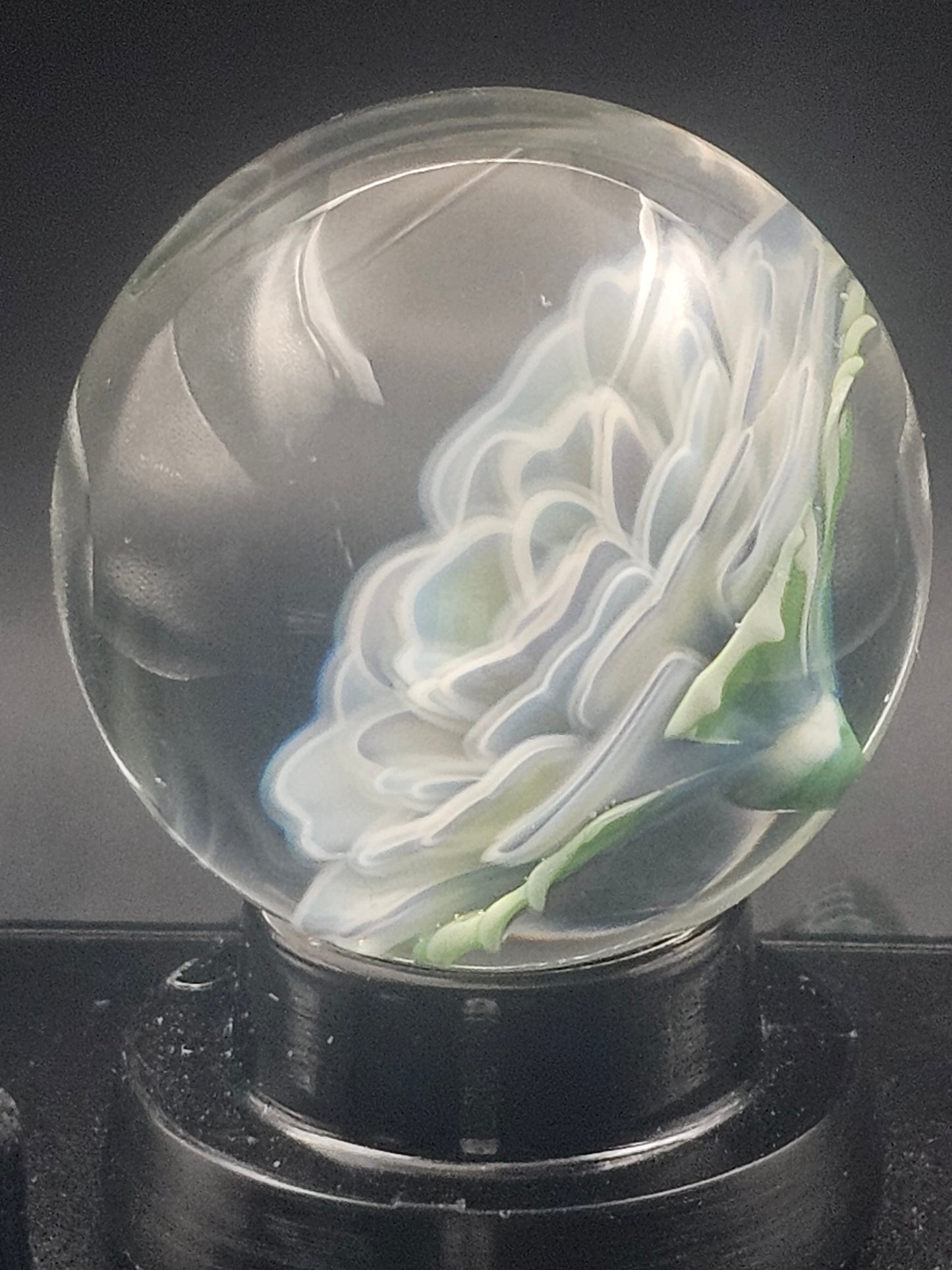 Butterscotch & Turbo Cobalt Floral Floral Marble