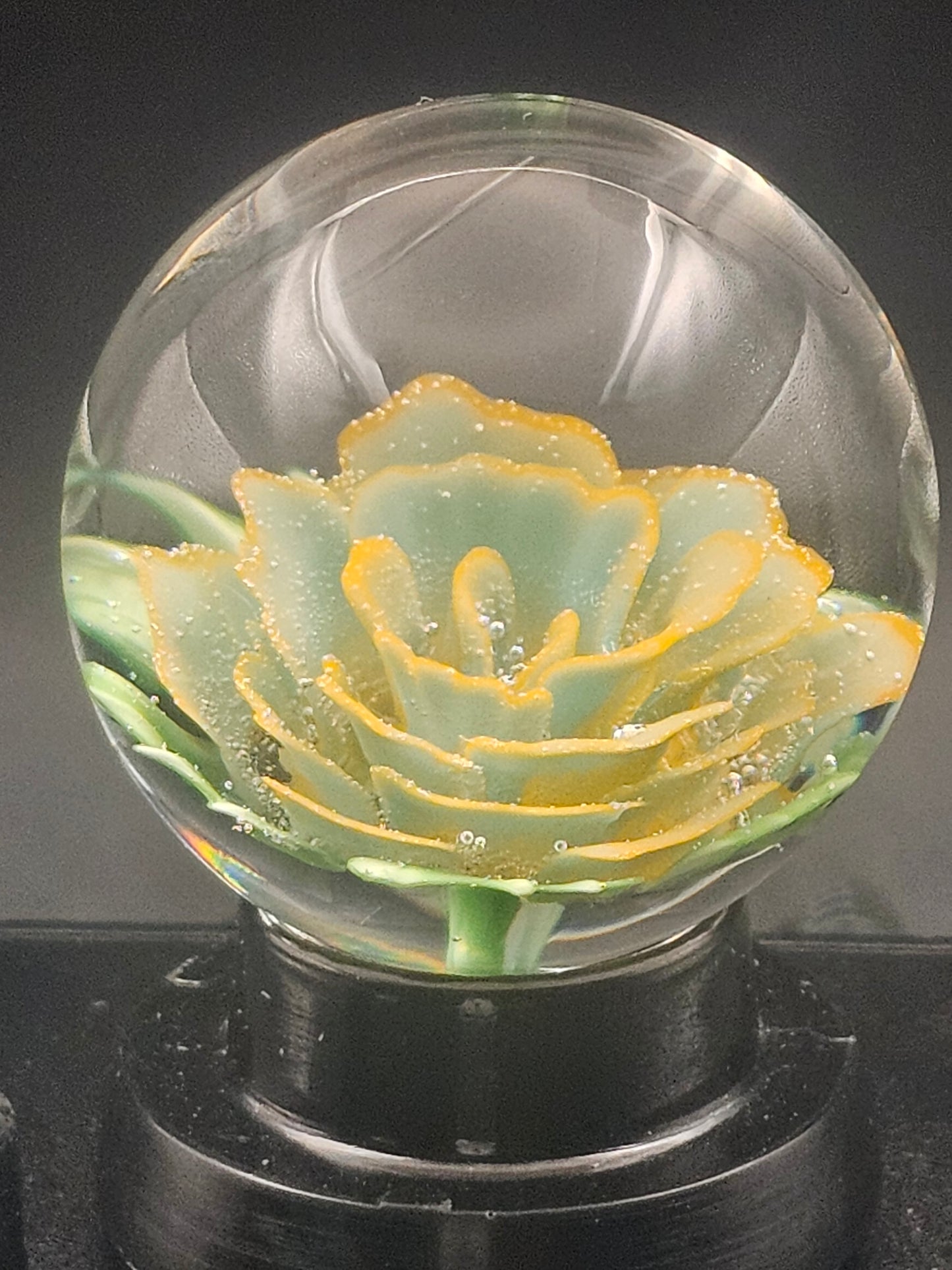 Really Teally & Lava Orange Floral Marble